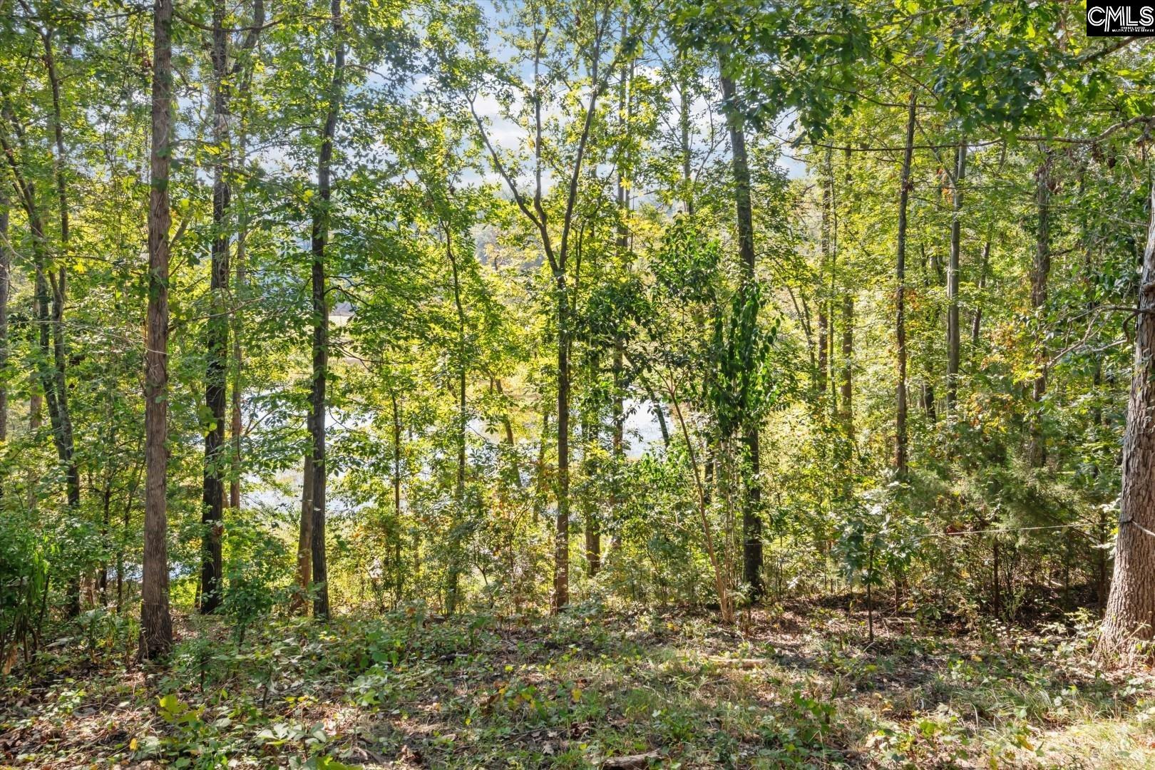 573 Canasta Drive Gilbert, SC 29054