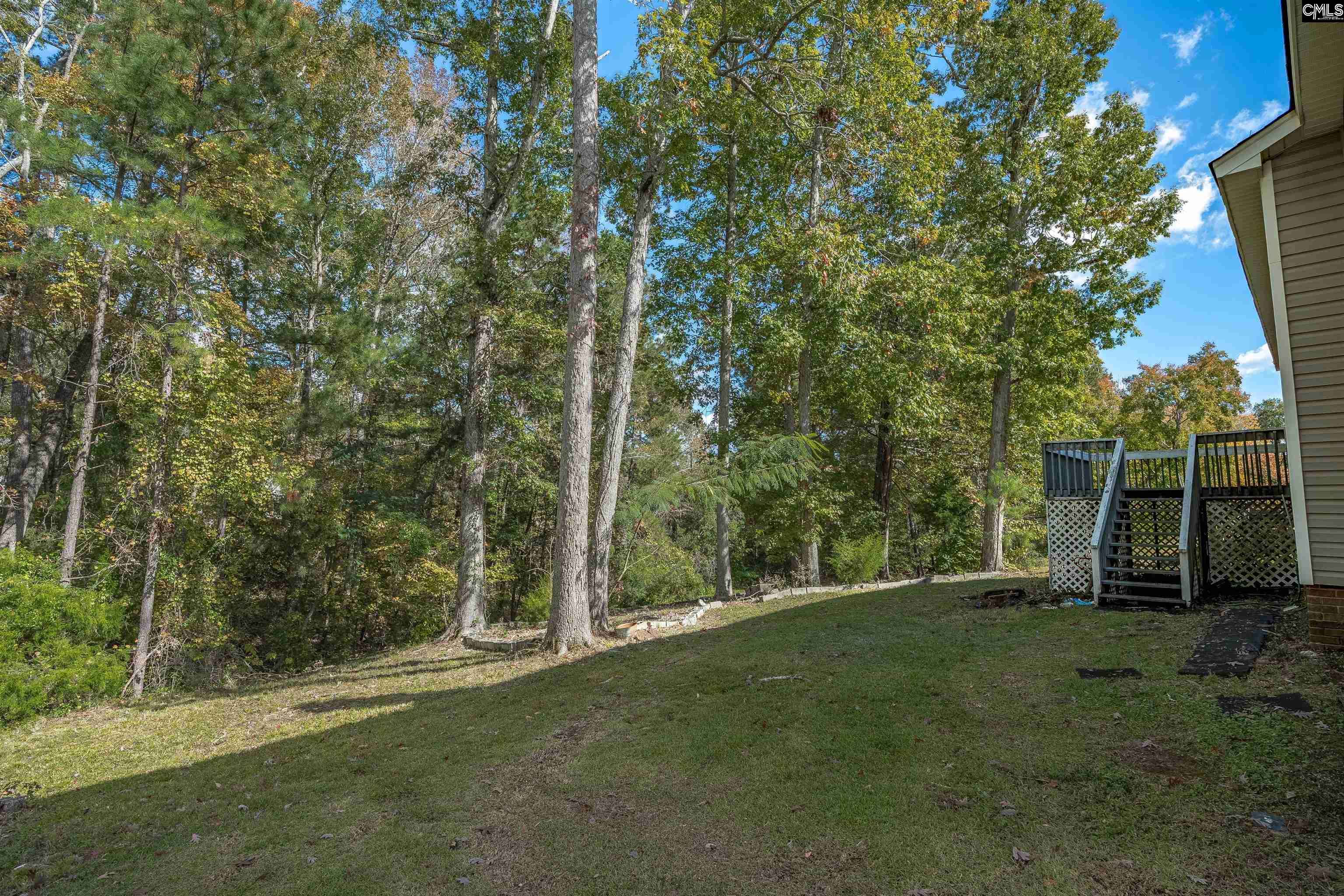 20 Persimmon Wood Court Irmo, SC 29063