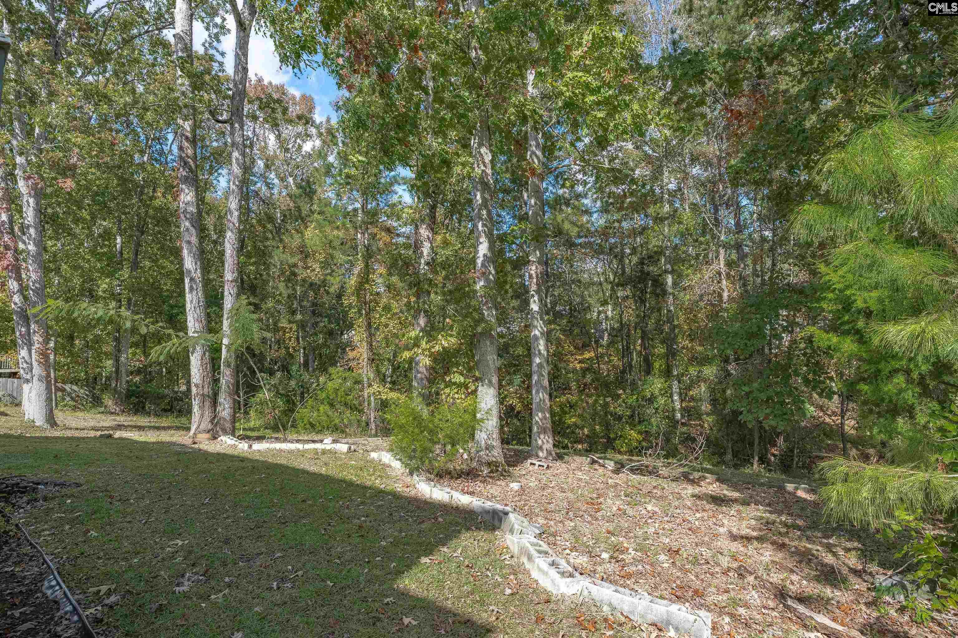 20 Persimmon Wood Court Irmo, SC 29063