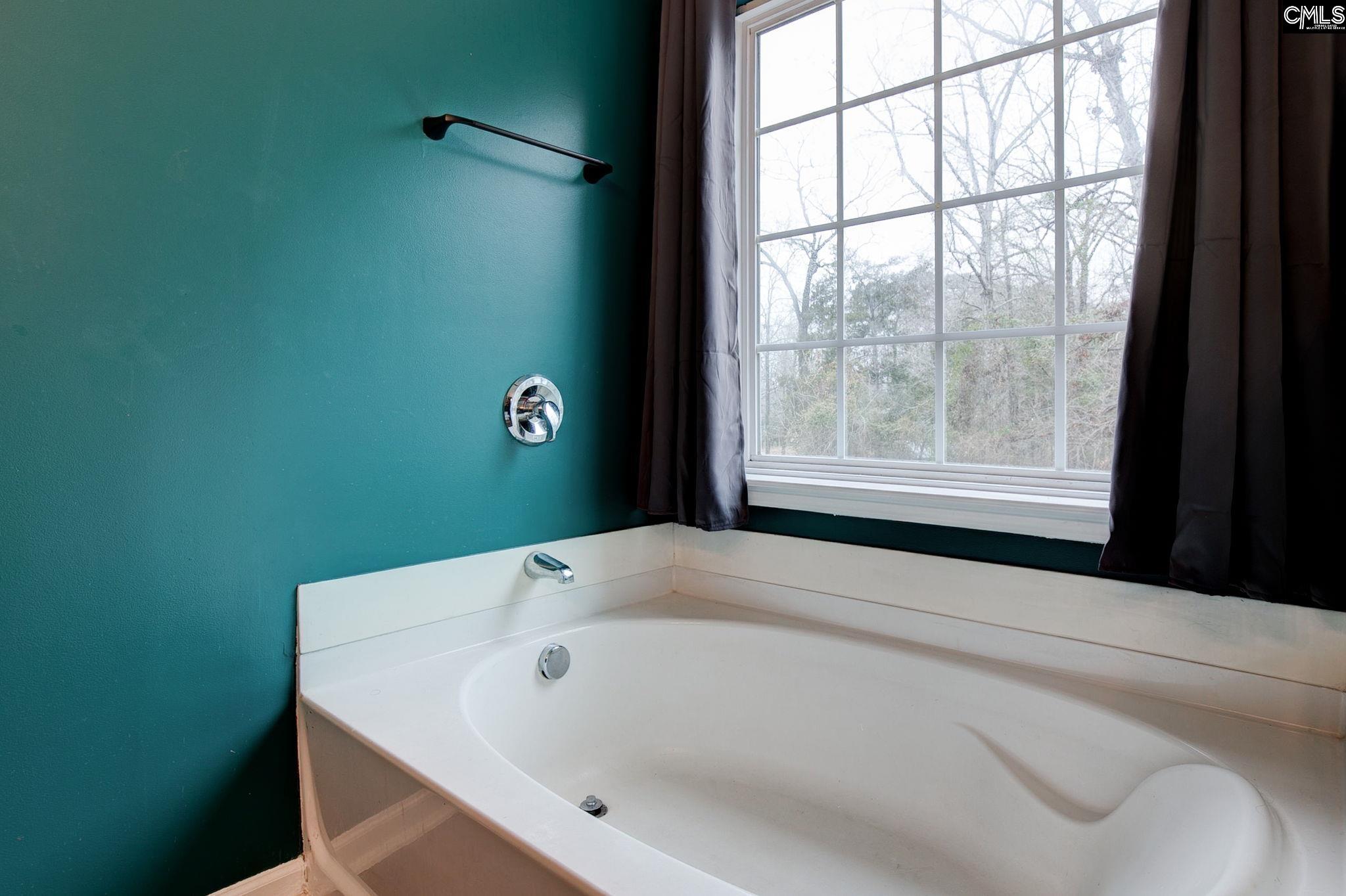 188 Kerry Gibbons Drive Chapin, SC 29036