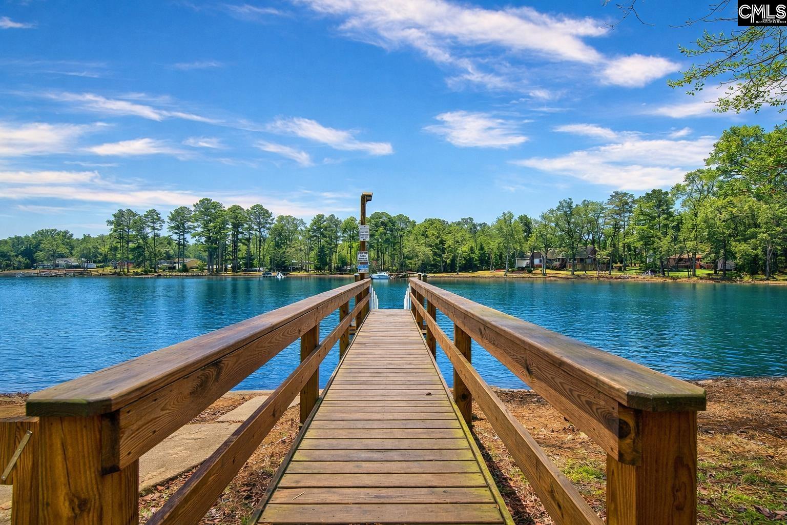 188 Kerry Gibbons Drive Chapin, SC 29036