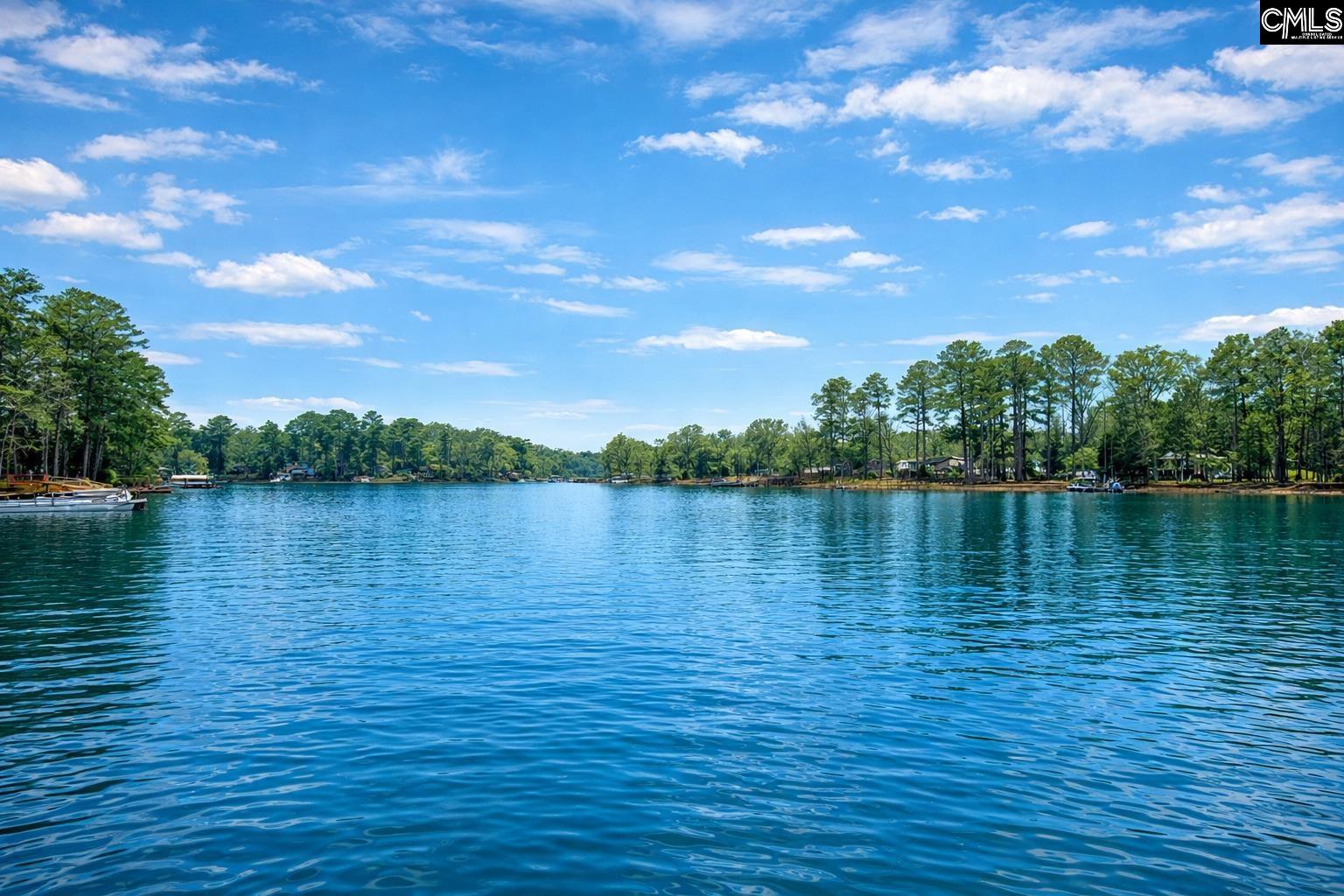 188 Kerry Gibbons Drive Chapin, SC 29036