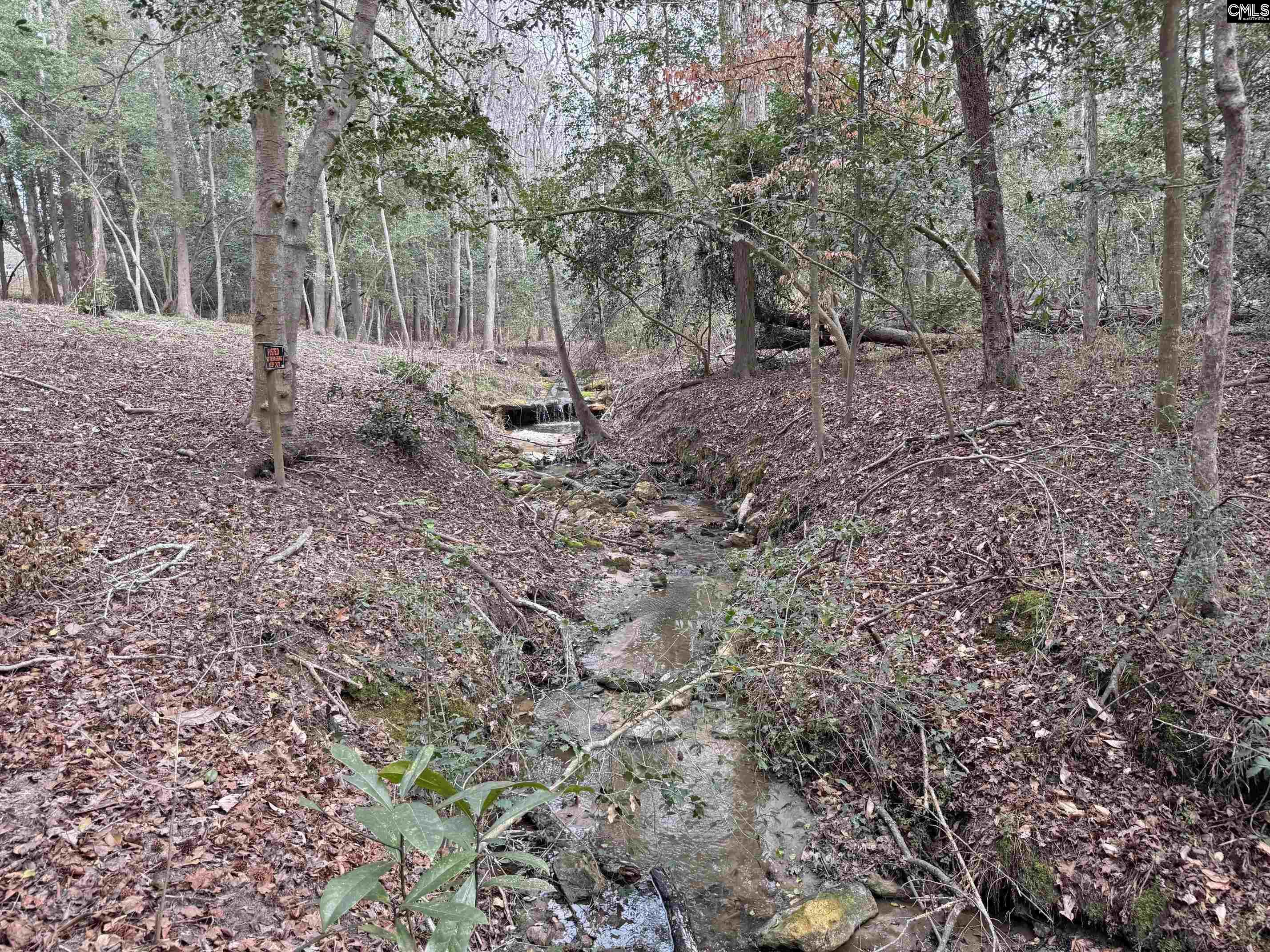Tall Timber Drive Leesville, SC 29070