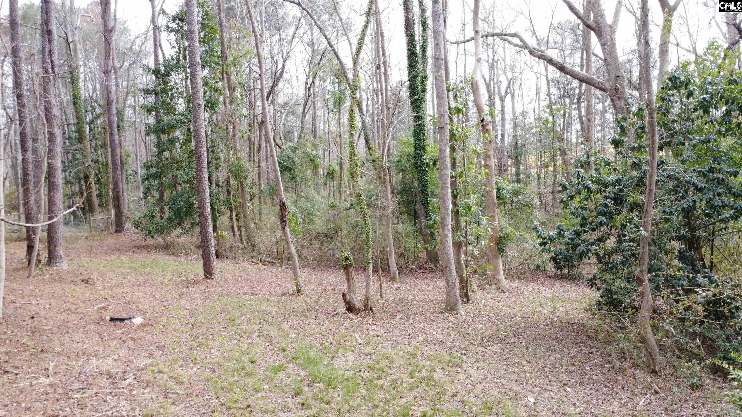Tall Timber Drive Leesville, SC 29070
