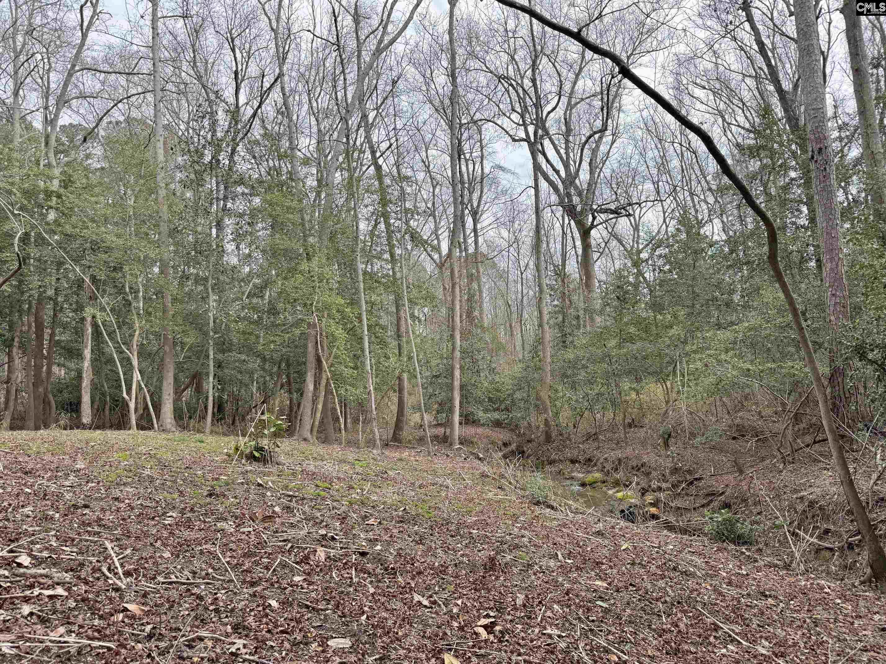 Tall Timber Drive Leesville, SC 29070