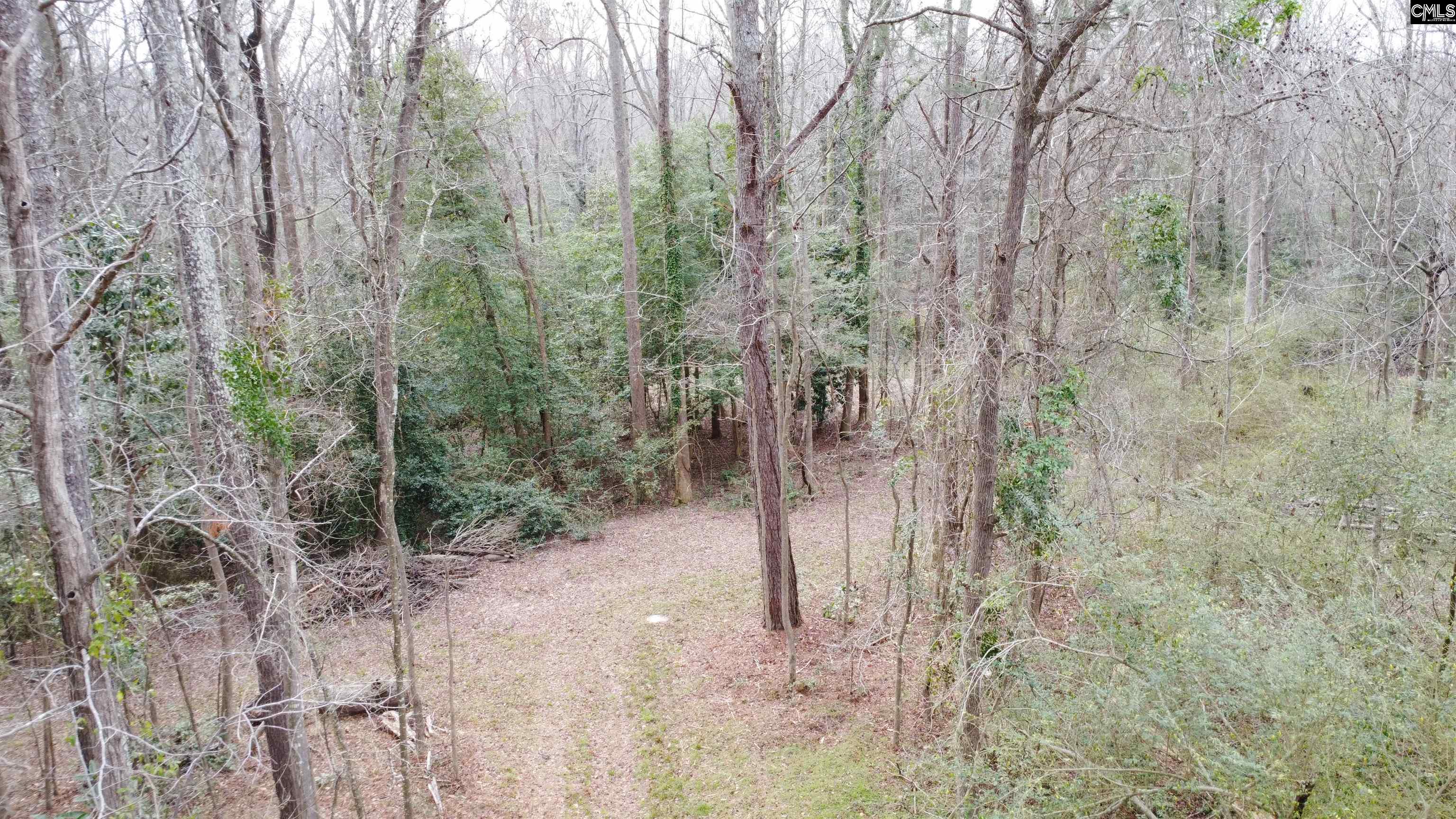 Tall Timber Drive Leesville, SC 29070