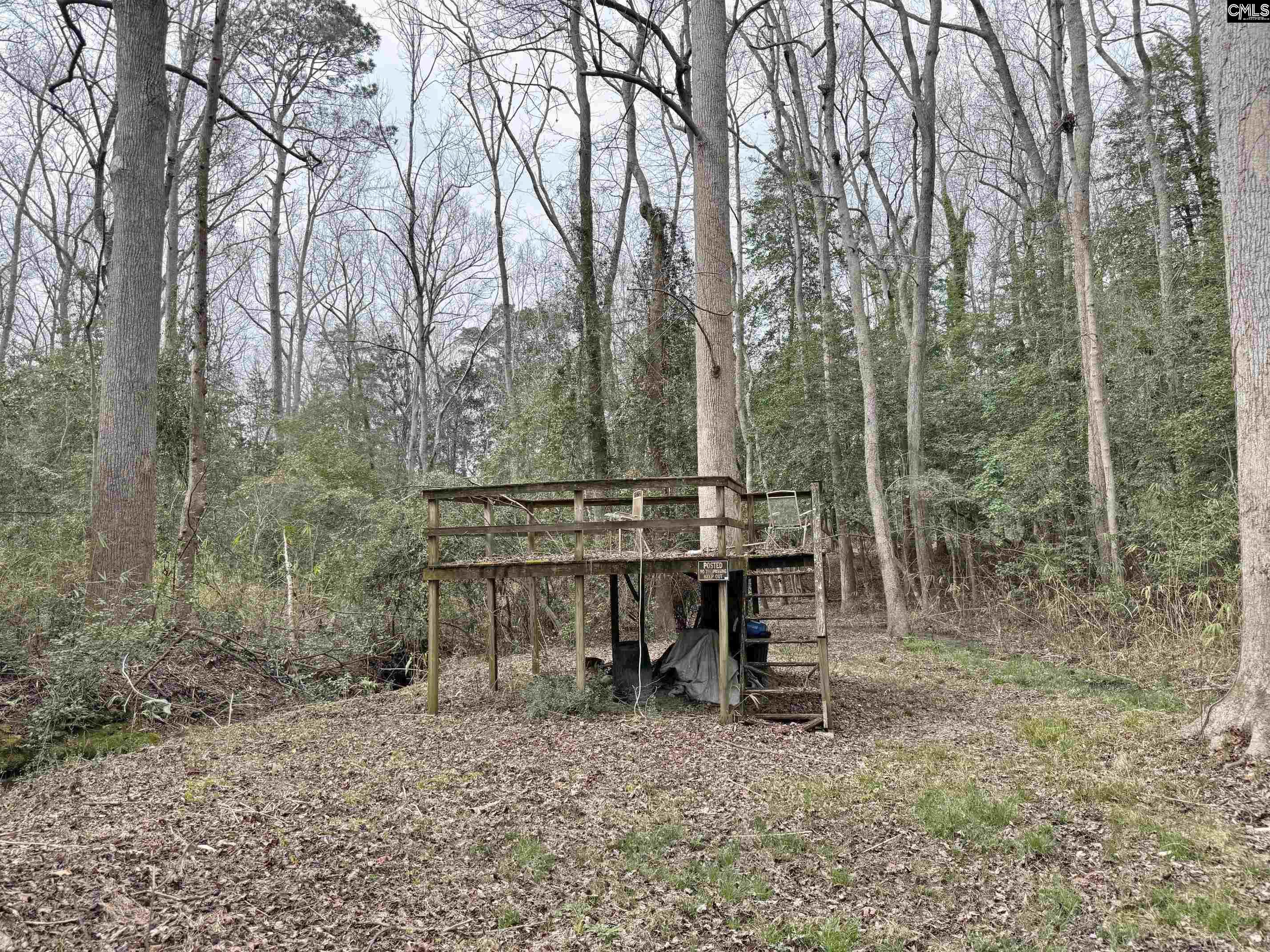 Tall Timber Drive Leesville, SC 29070