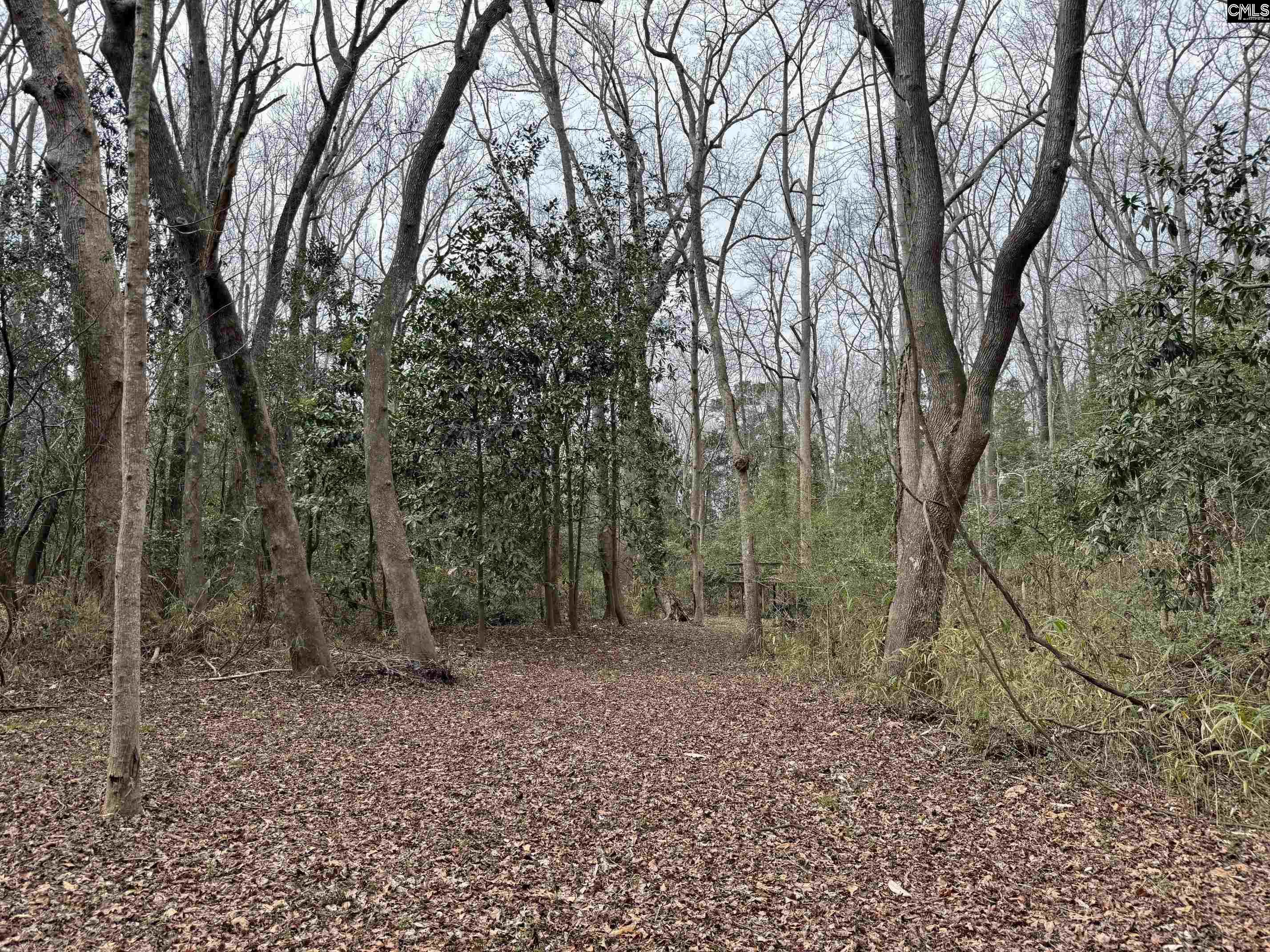 Tall Timber Drive Leesville, SC 29070