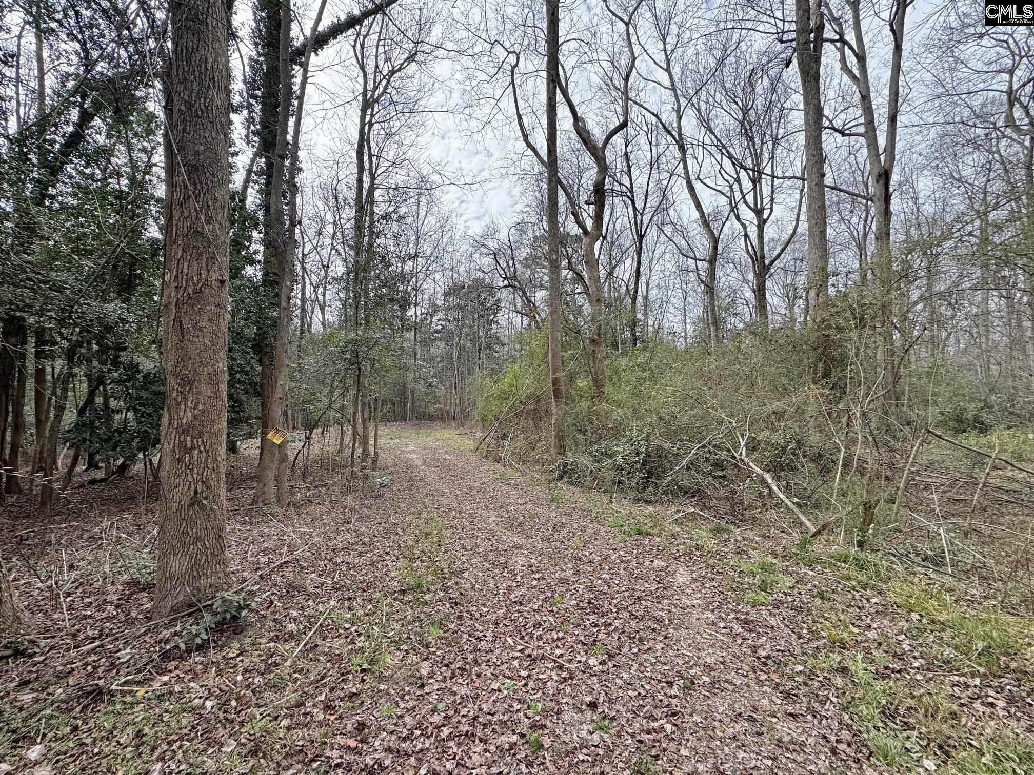 Tall Timber Drive Leesville, SC 29070