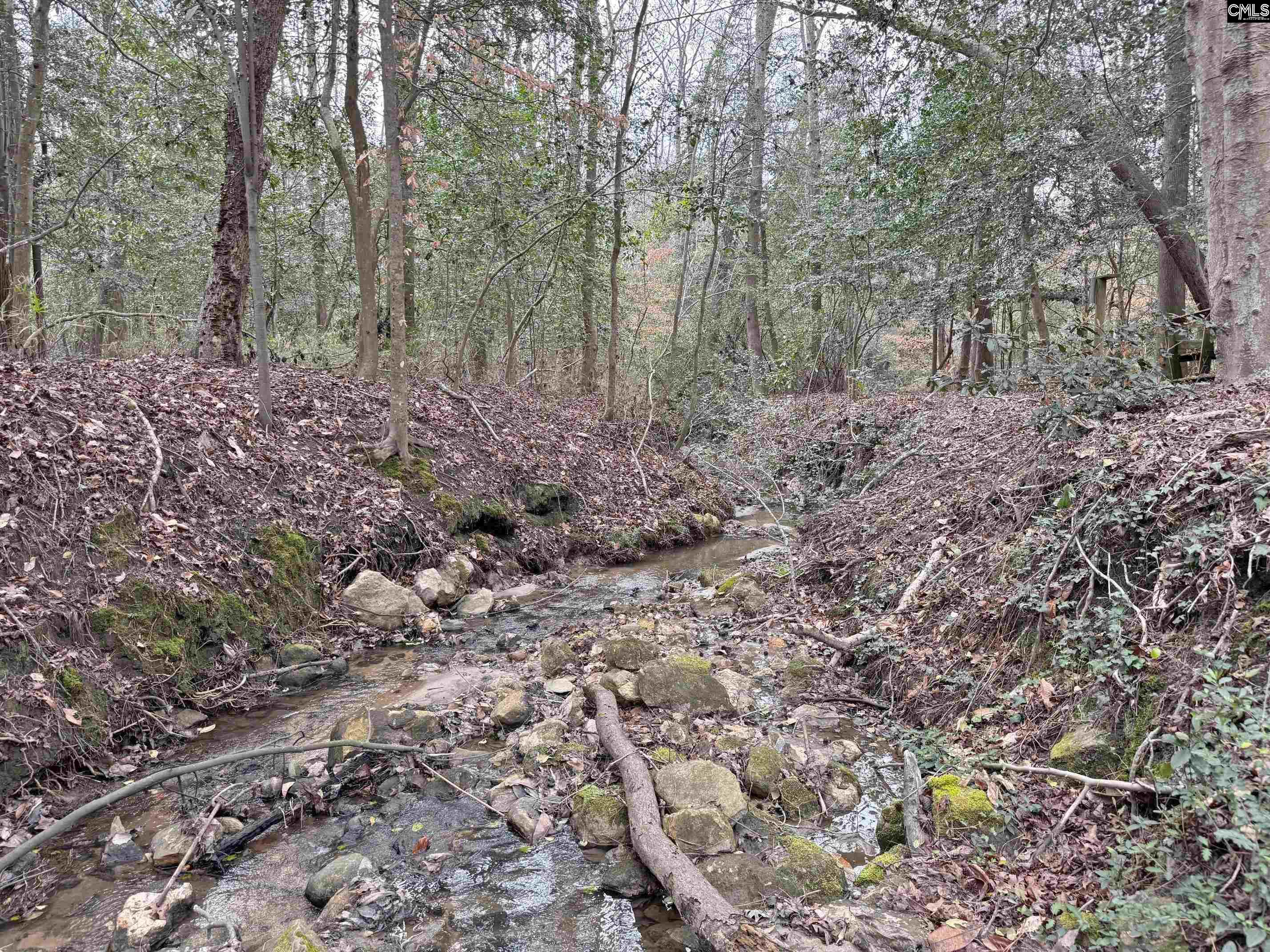 Tall Timber Drive Leesville, SC 29070