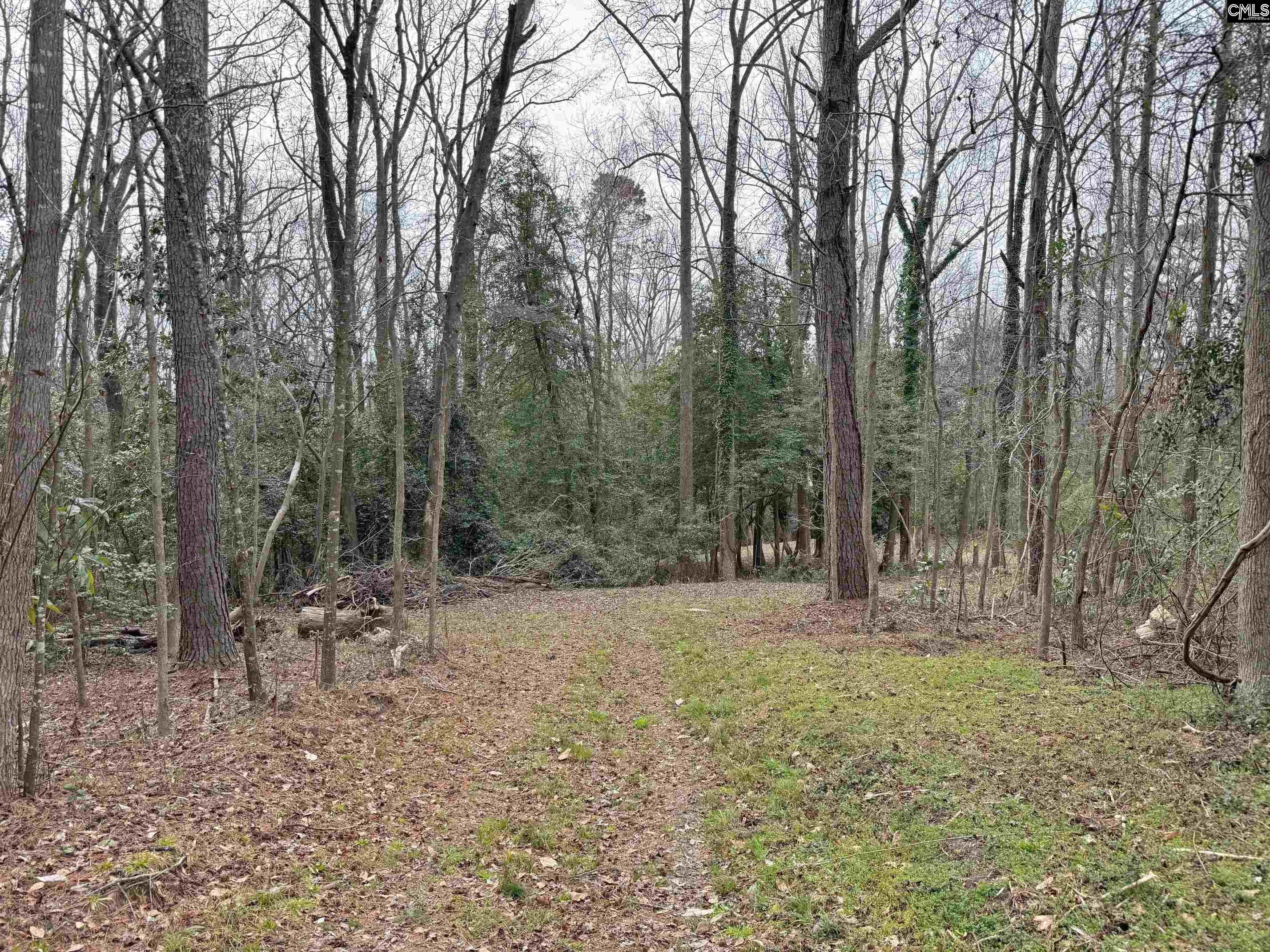 Tall Timber Drive Leesville, SC 29070