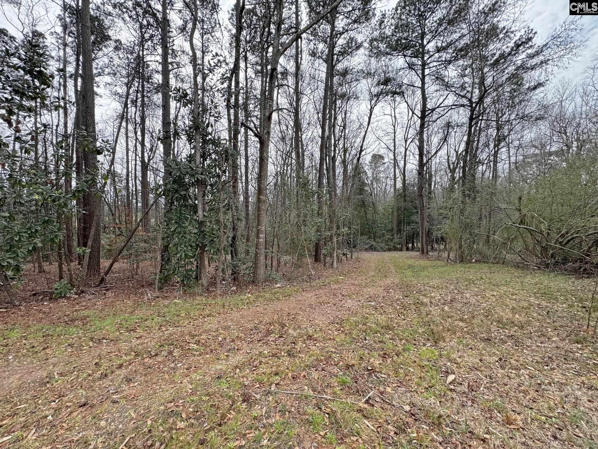 Tall Timber Drive Leesville, SC 29070