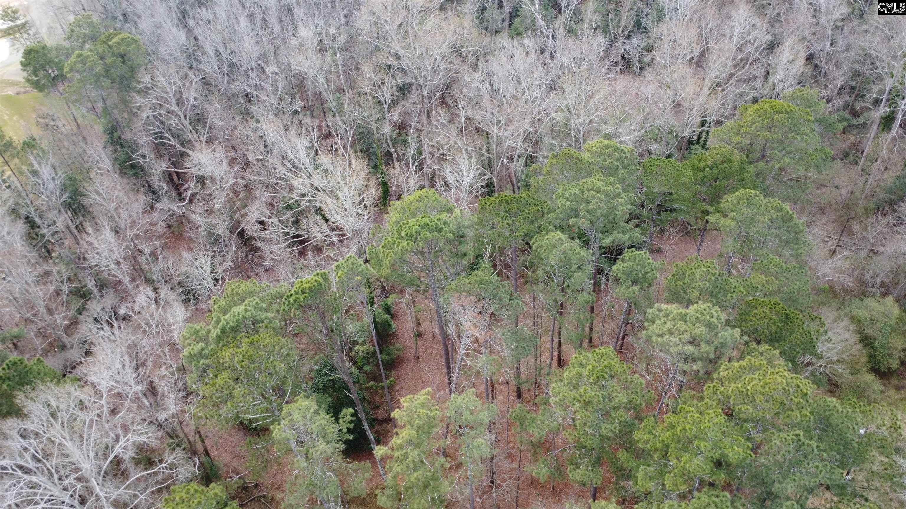 Tall Timber Drive Leesville, SC 29070