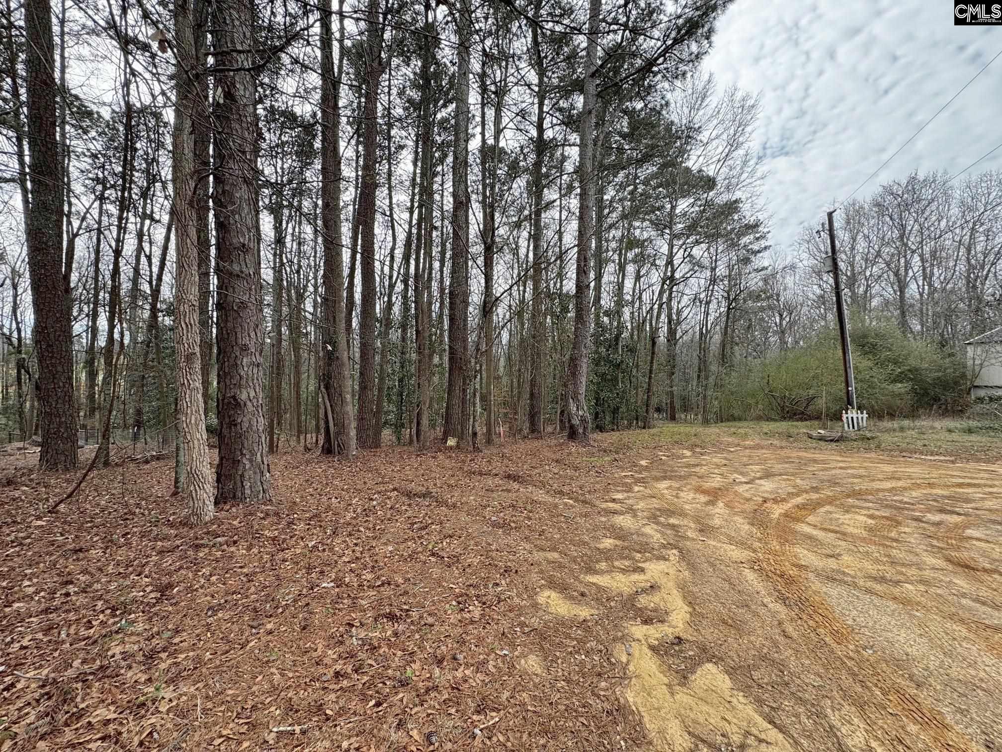 Tall Timber Drive Leesville, SC 29070