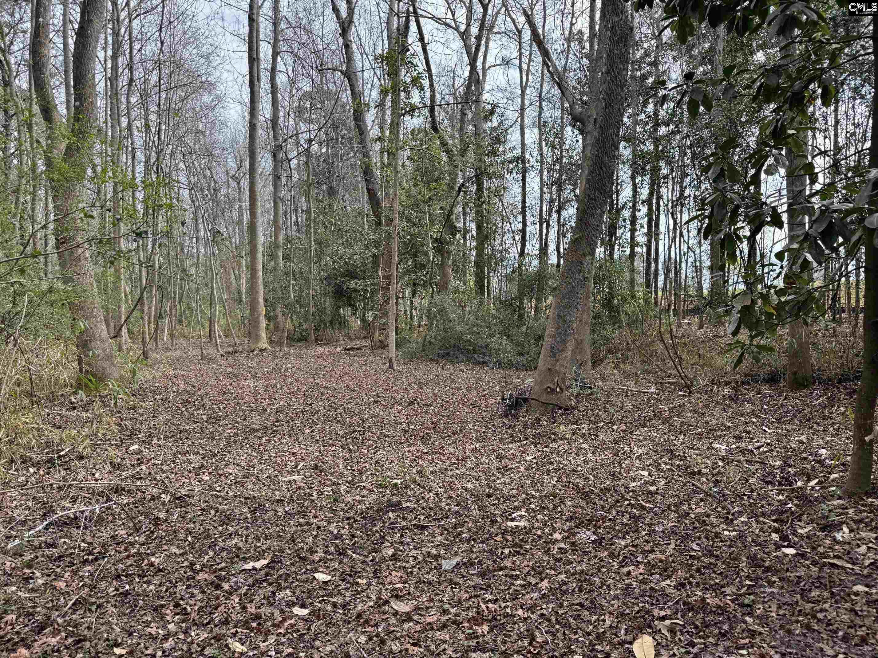 Tall Timber Drive Leesville, SC 29070