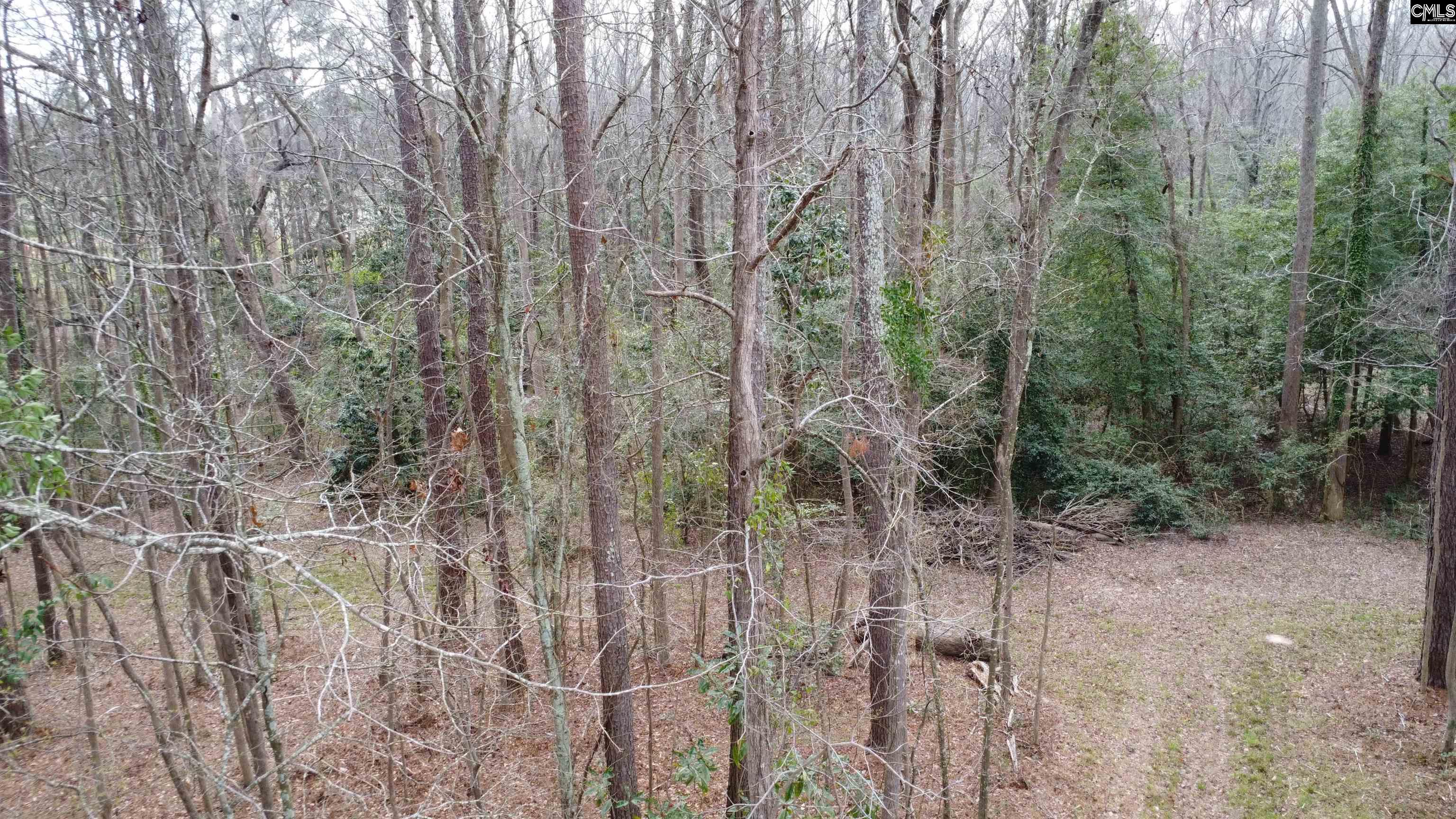 Tall Timber Drive Leesville, SC 29070