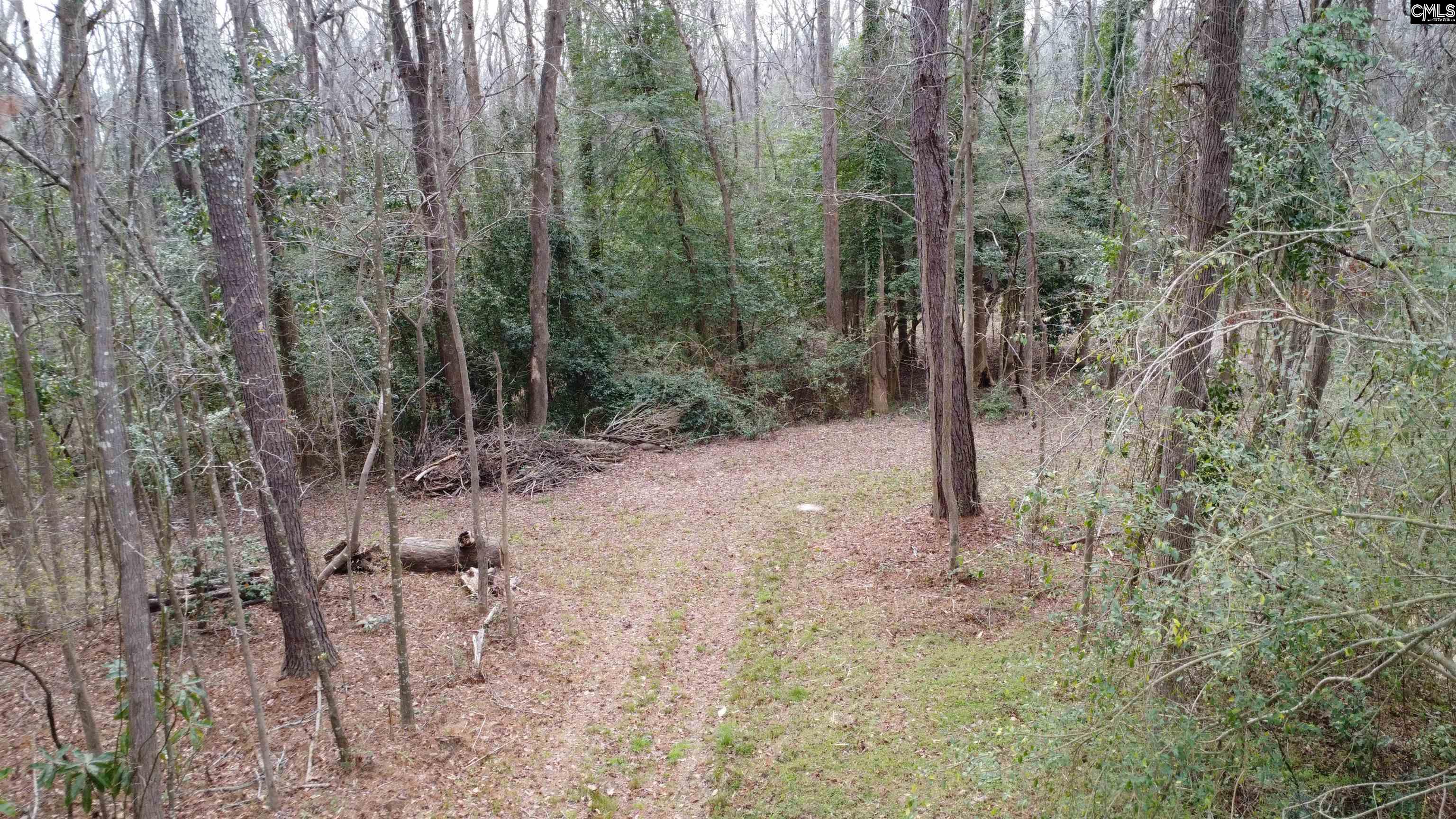 Tall Timber Drive Leesville, SC 29070