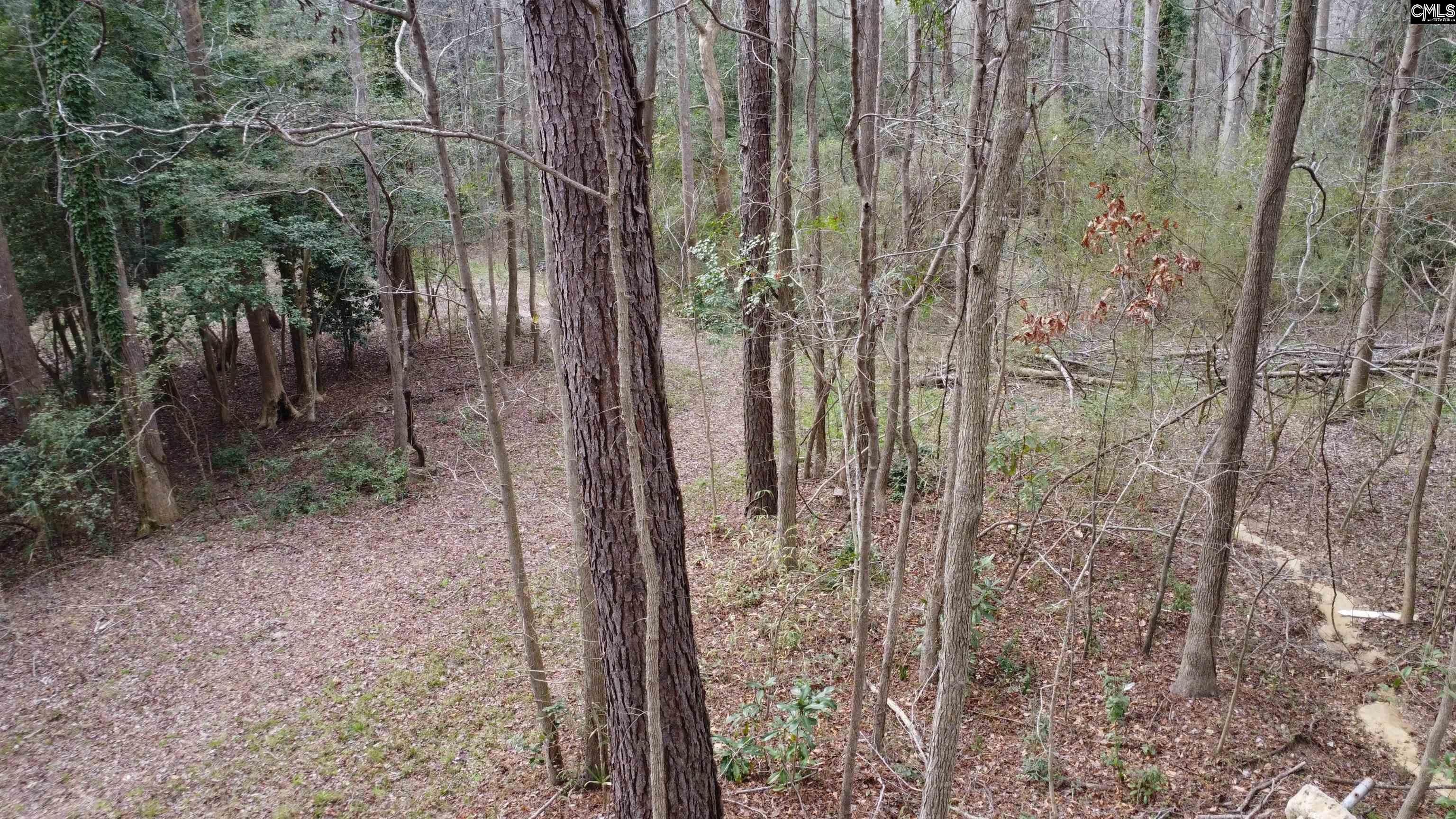 Tall Timber Drive Leesville, SC 29070