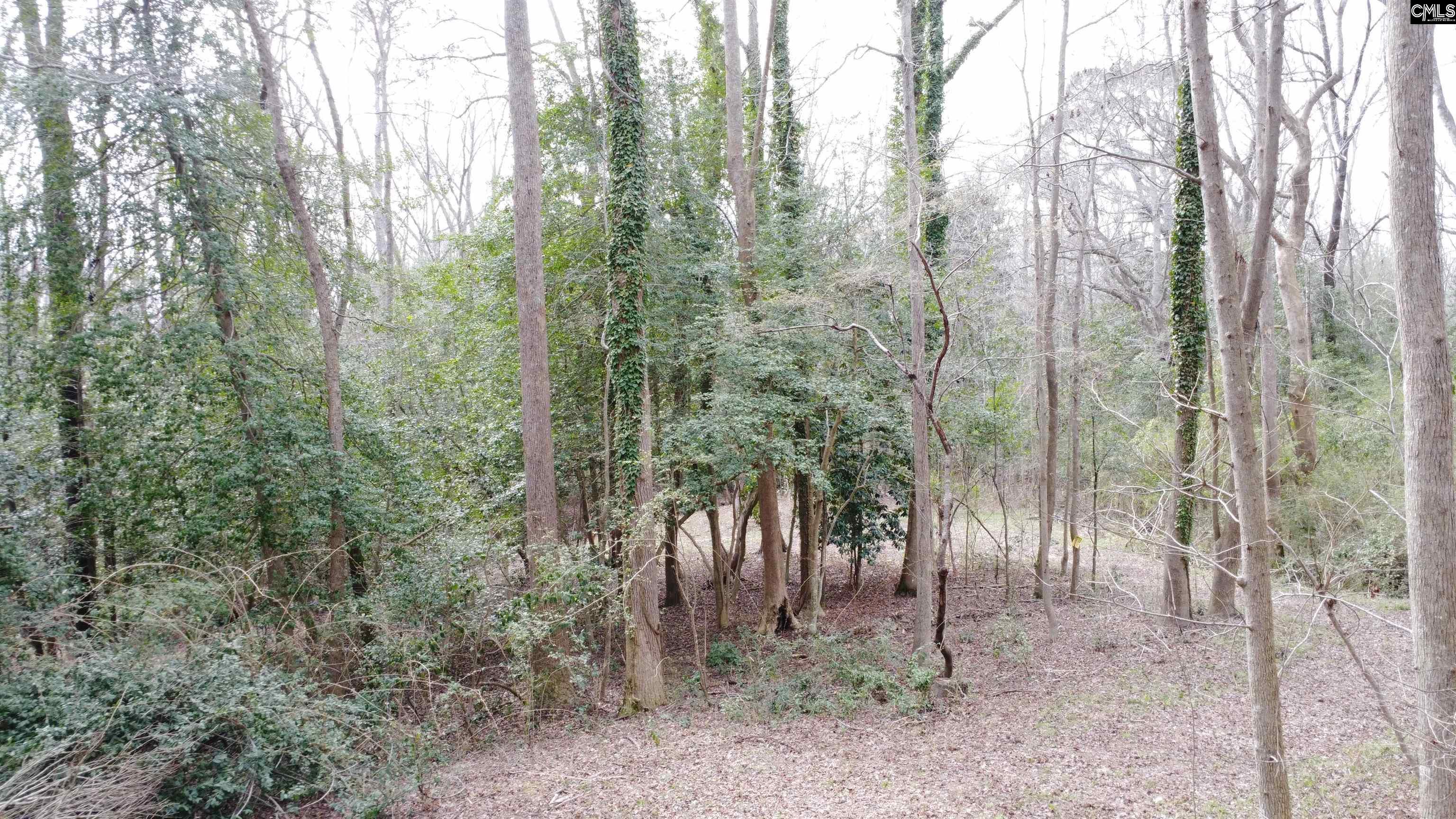 Tall Timber Drive Leesville, SC 29070