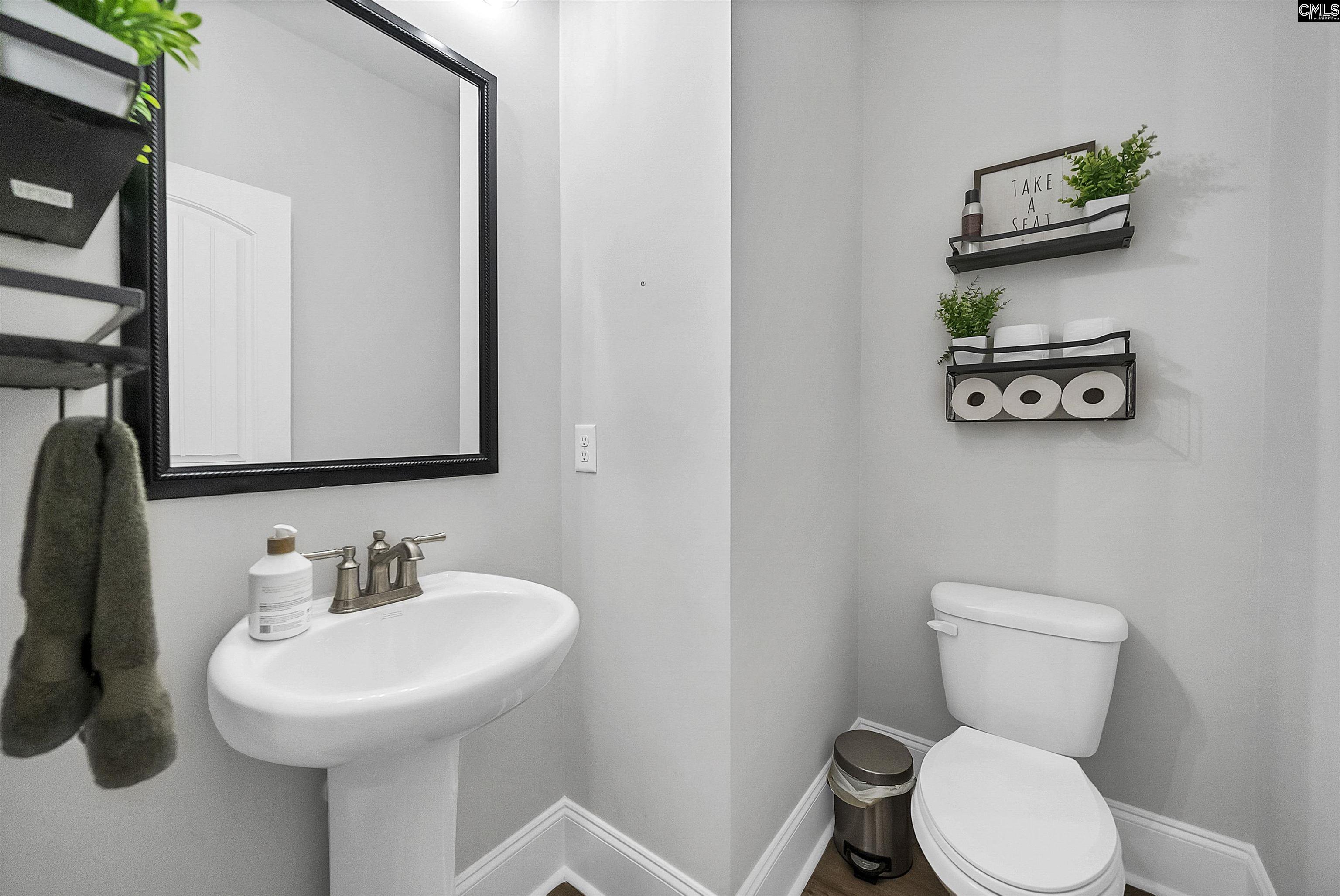 143 Collins Cove Drive Chapin, SC 29036