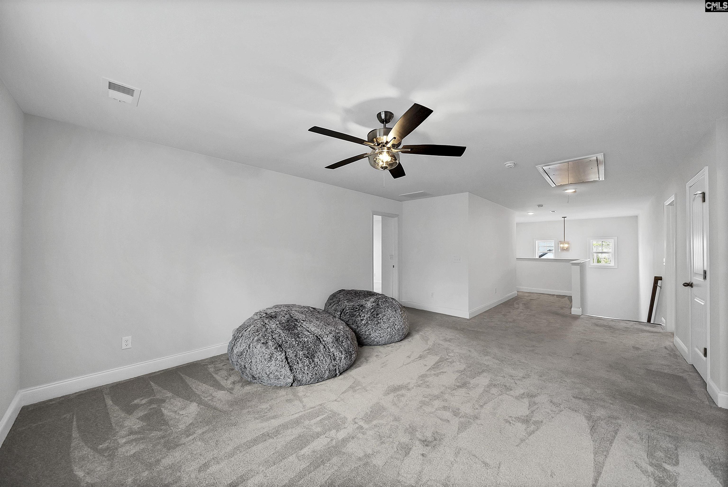 143 Collins Cove Drive Chapin, SC 29036