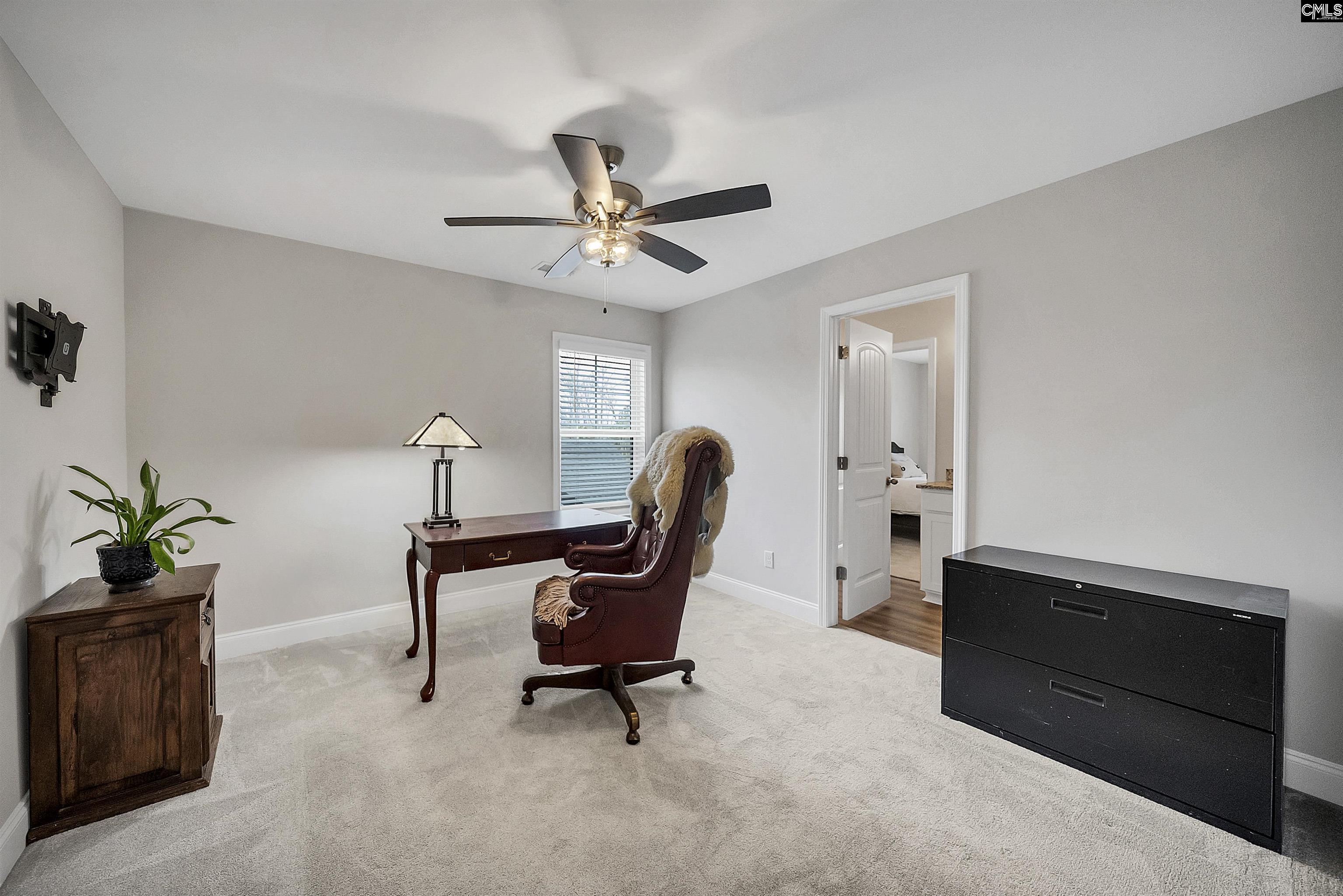 143 Collins Cove Drive Chapin, SC 29036