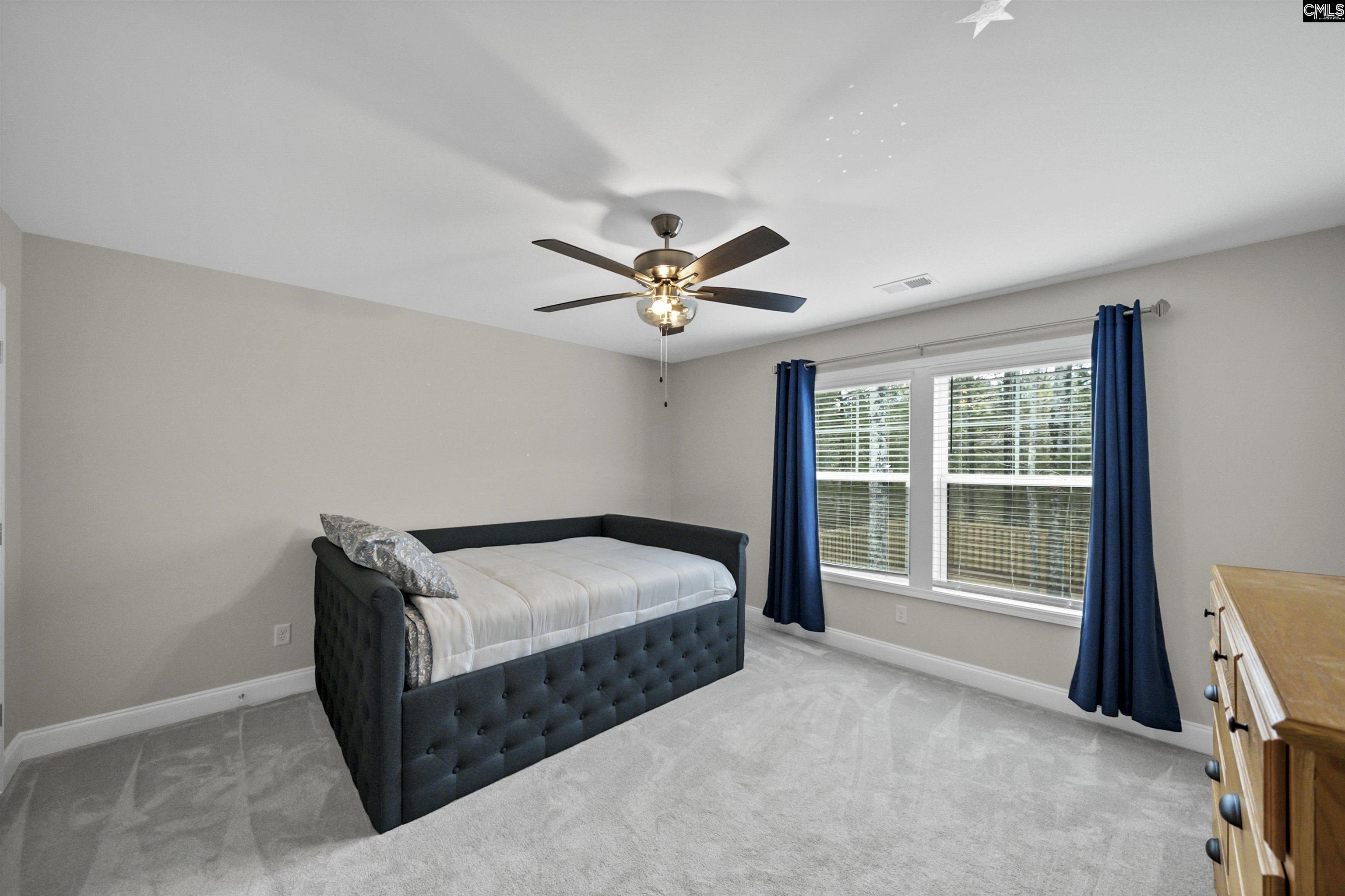 143 Collins Cove Drive Chapin, SC 29036