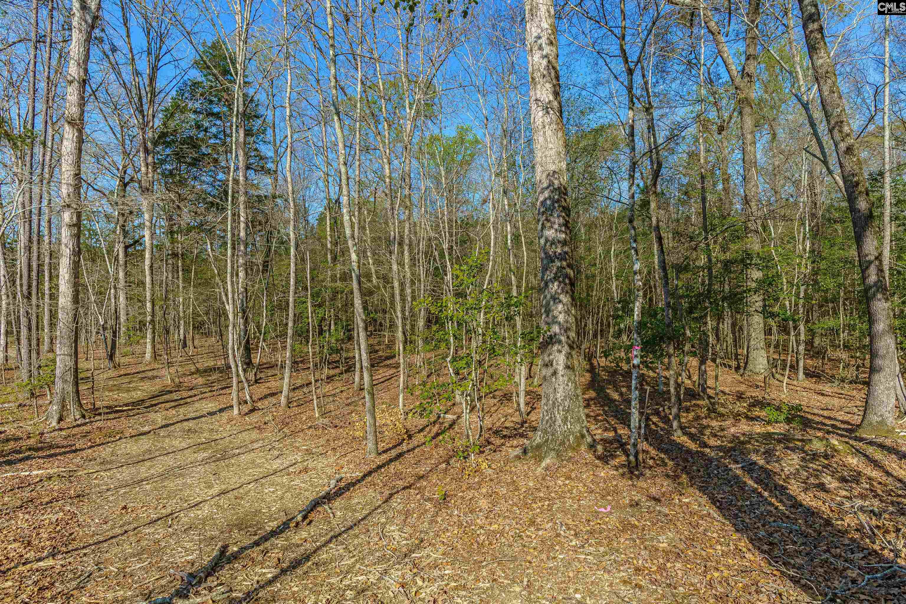 Parcel A Grover Wilson Road Blythewood, SC 29016