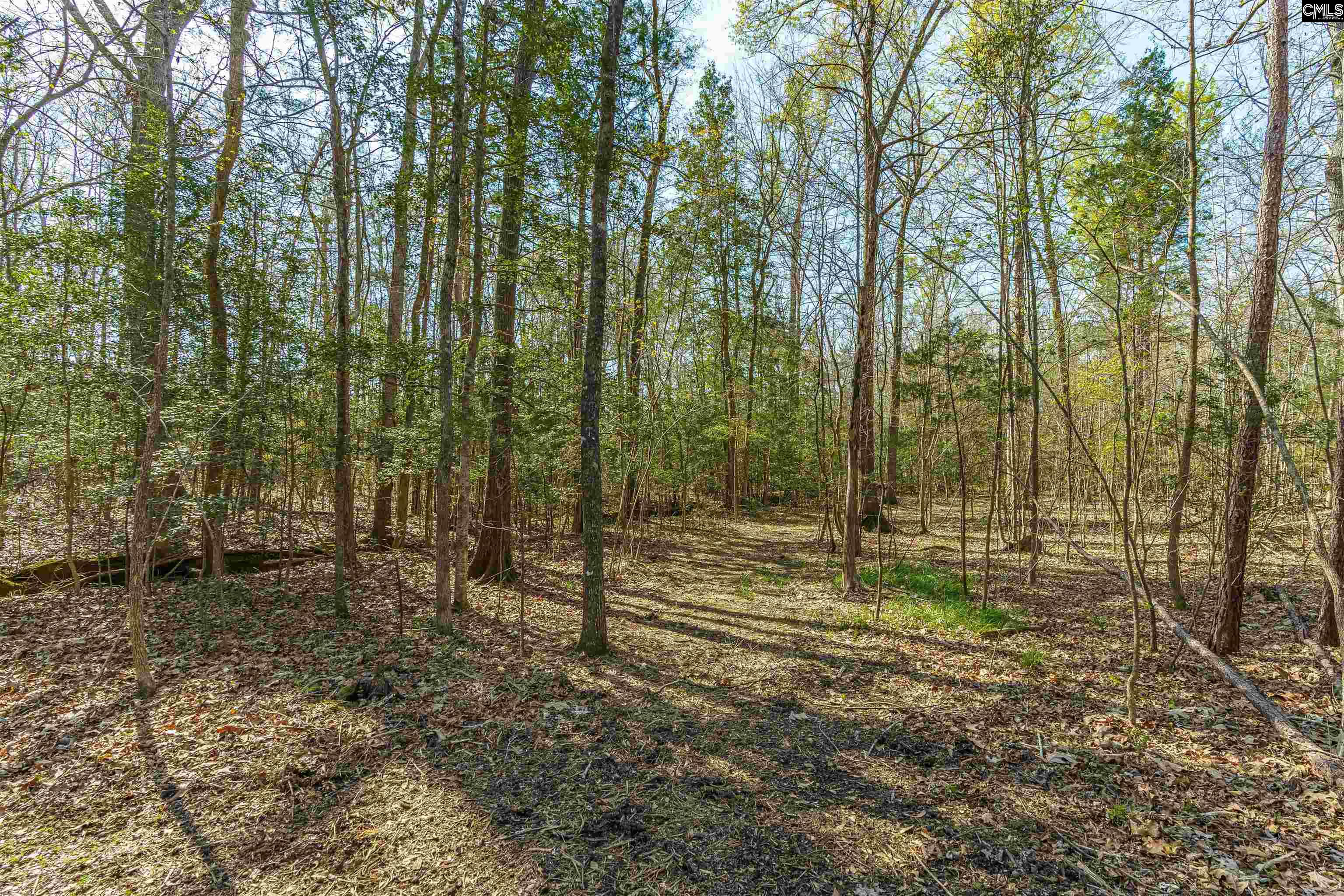 Parcel A Grover Wilson Road Blythewood, SC 29016