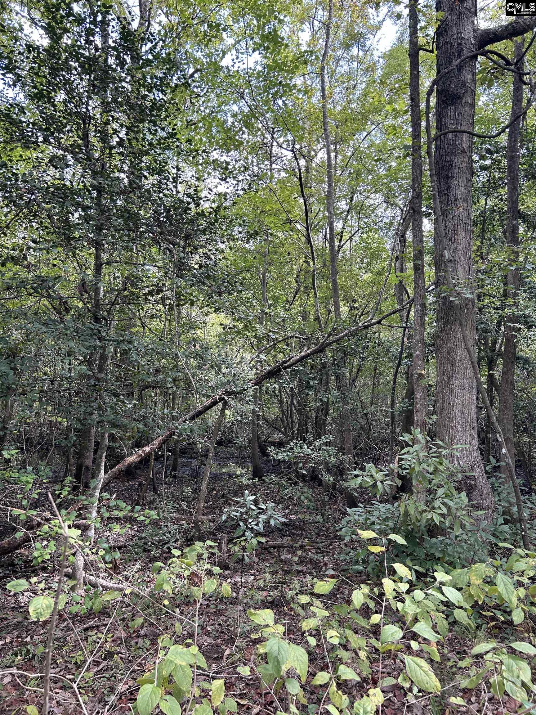 8200 Salem Road New Zion, SC 29111
