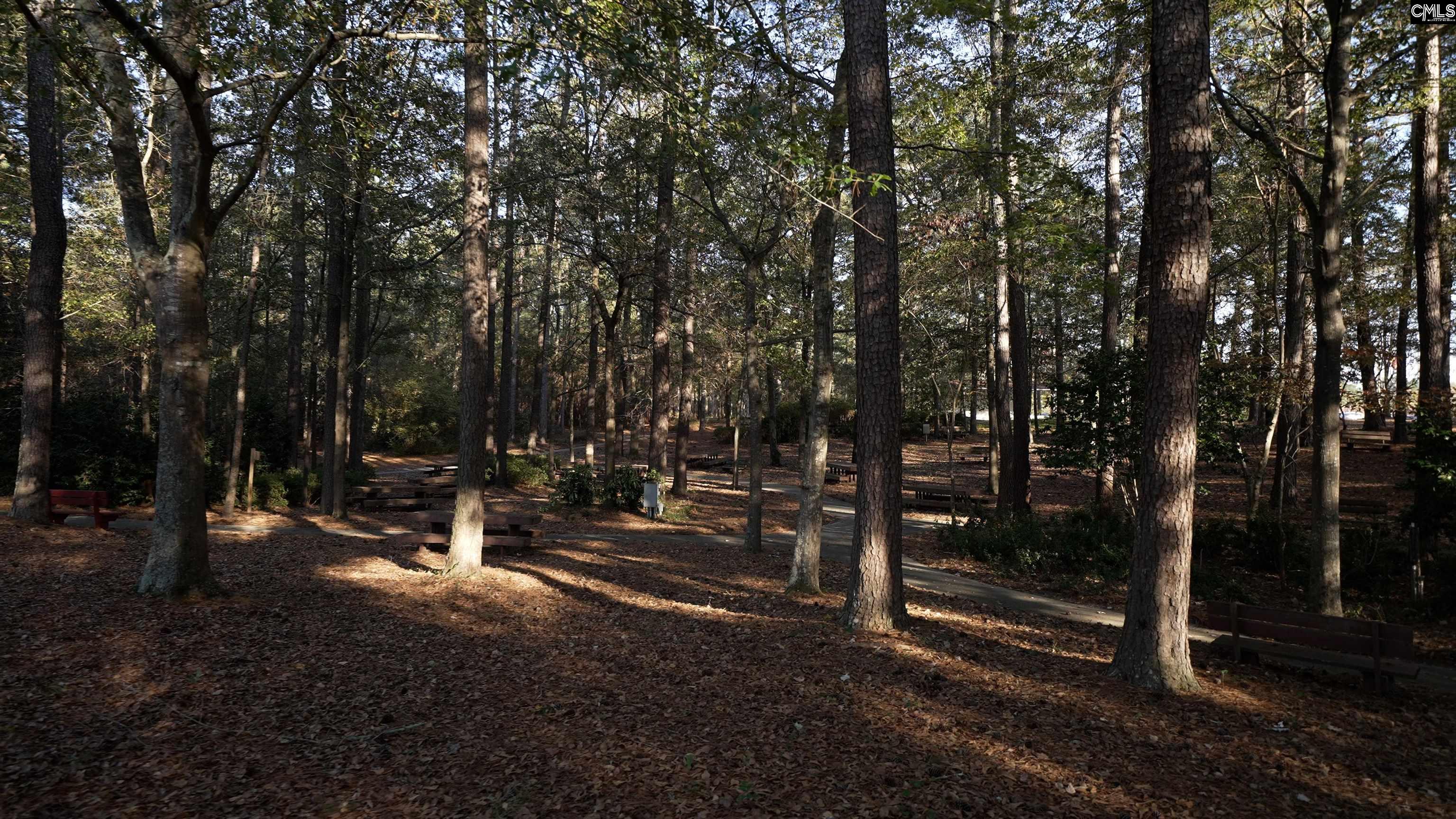 763 Ben Gunn Run Gilbert, SC 29054