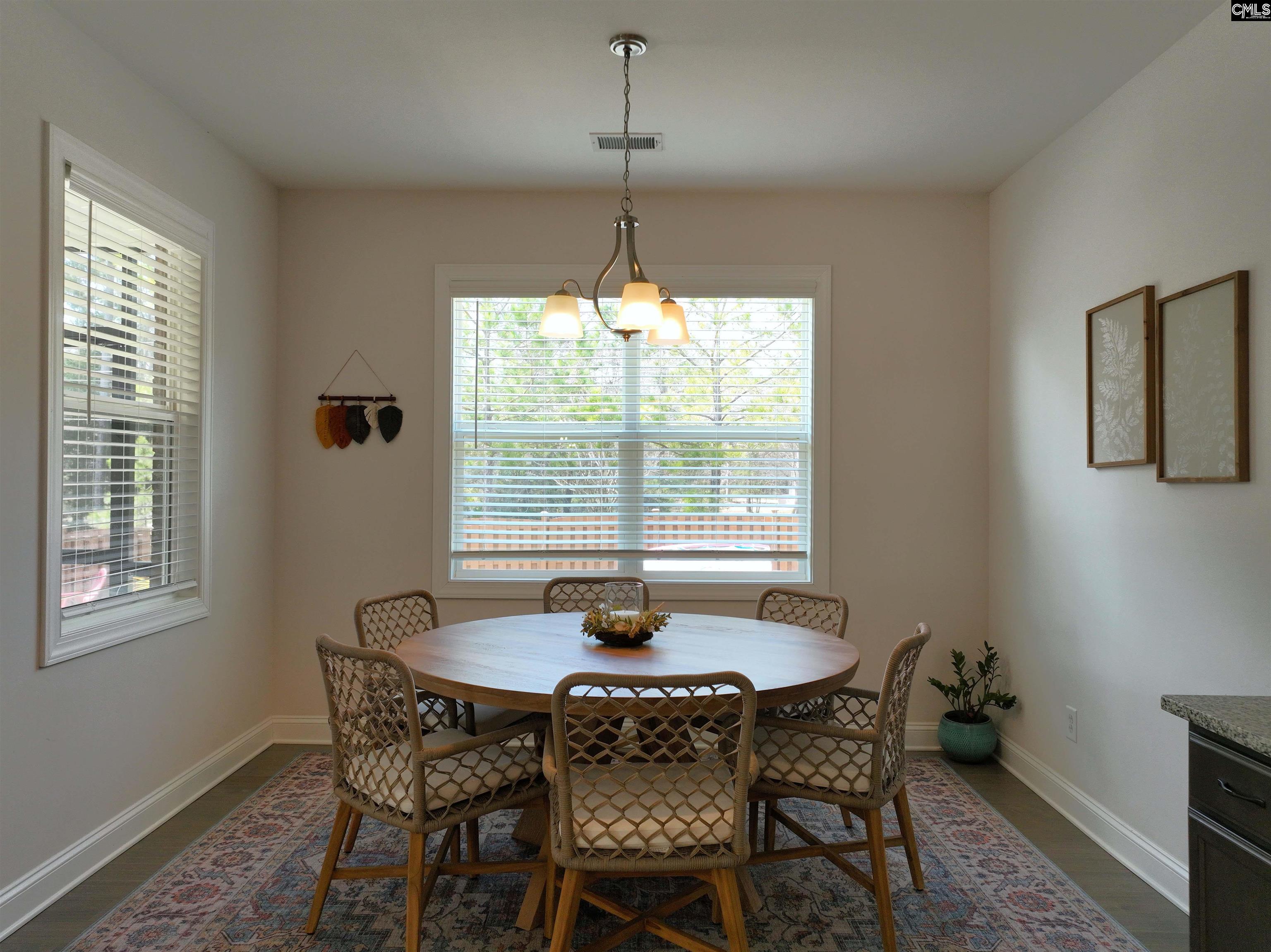 218 Chapin Brooke Court Chapin, SC 29036-9999