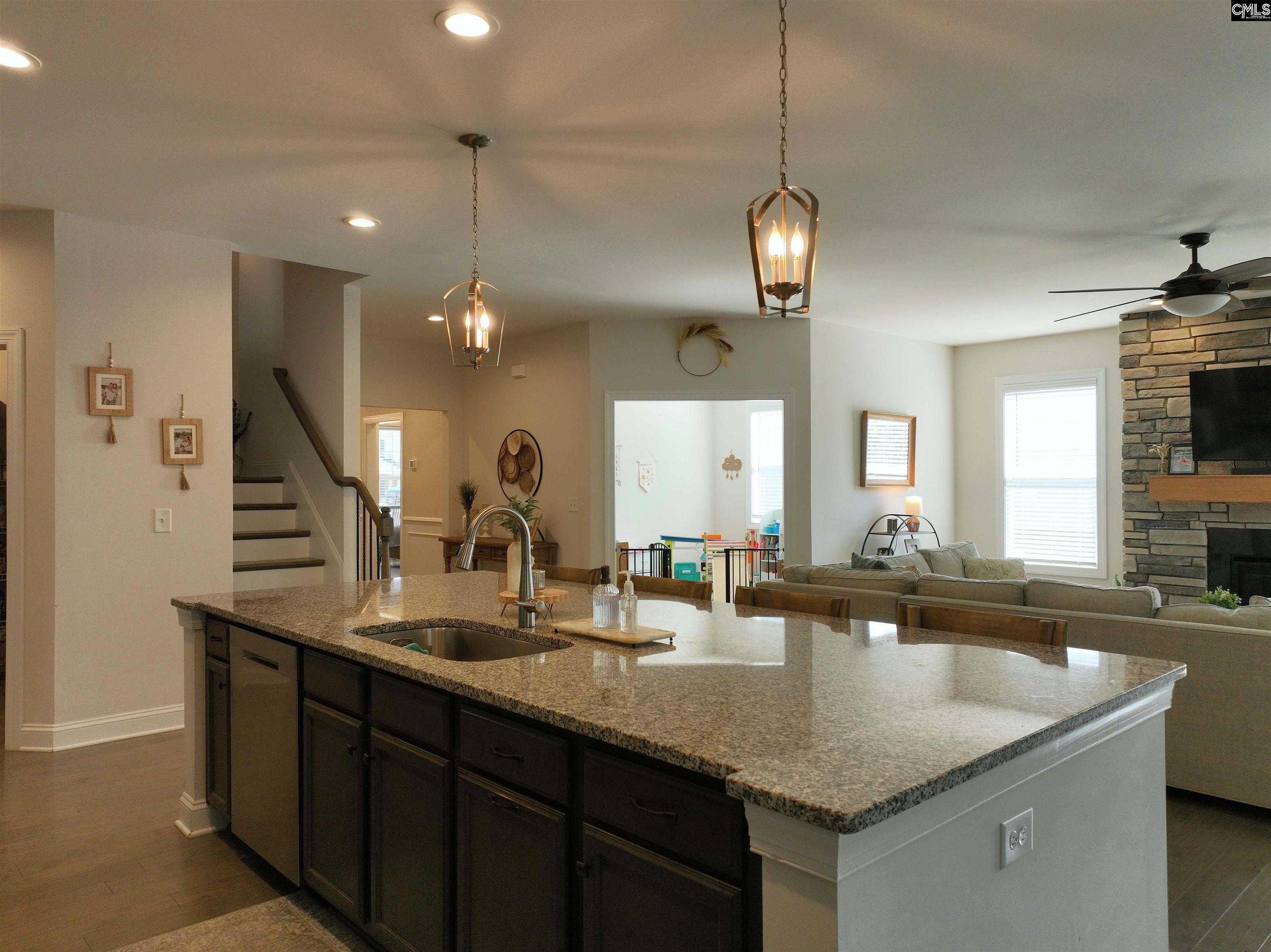 218 Chapin Brooke Court Chapin, SC 29036-9999
