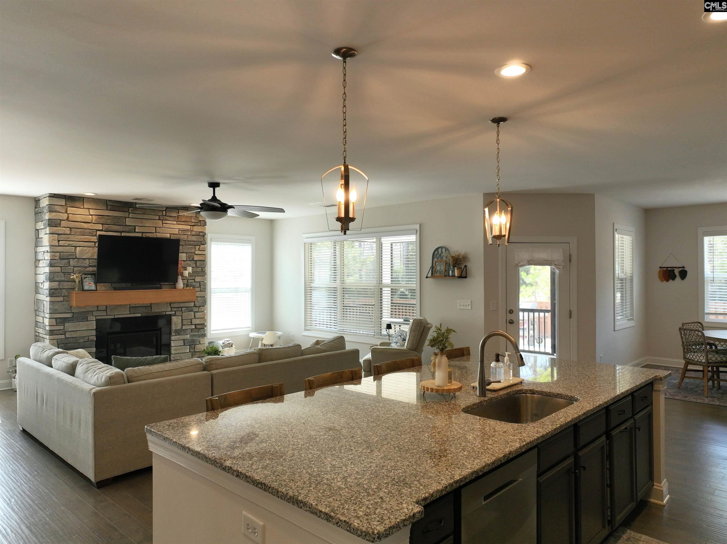218 Chapin Brooke Court Chapin, SC 29036-9999