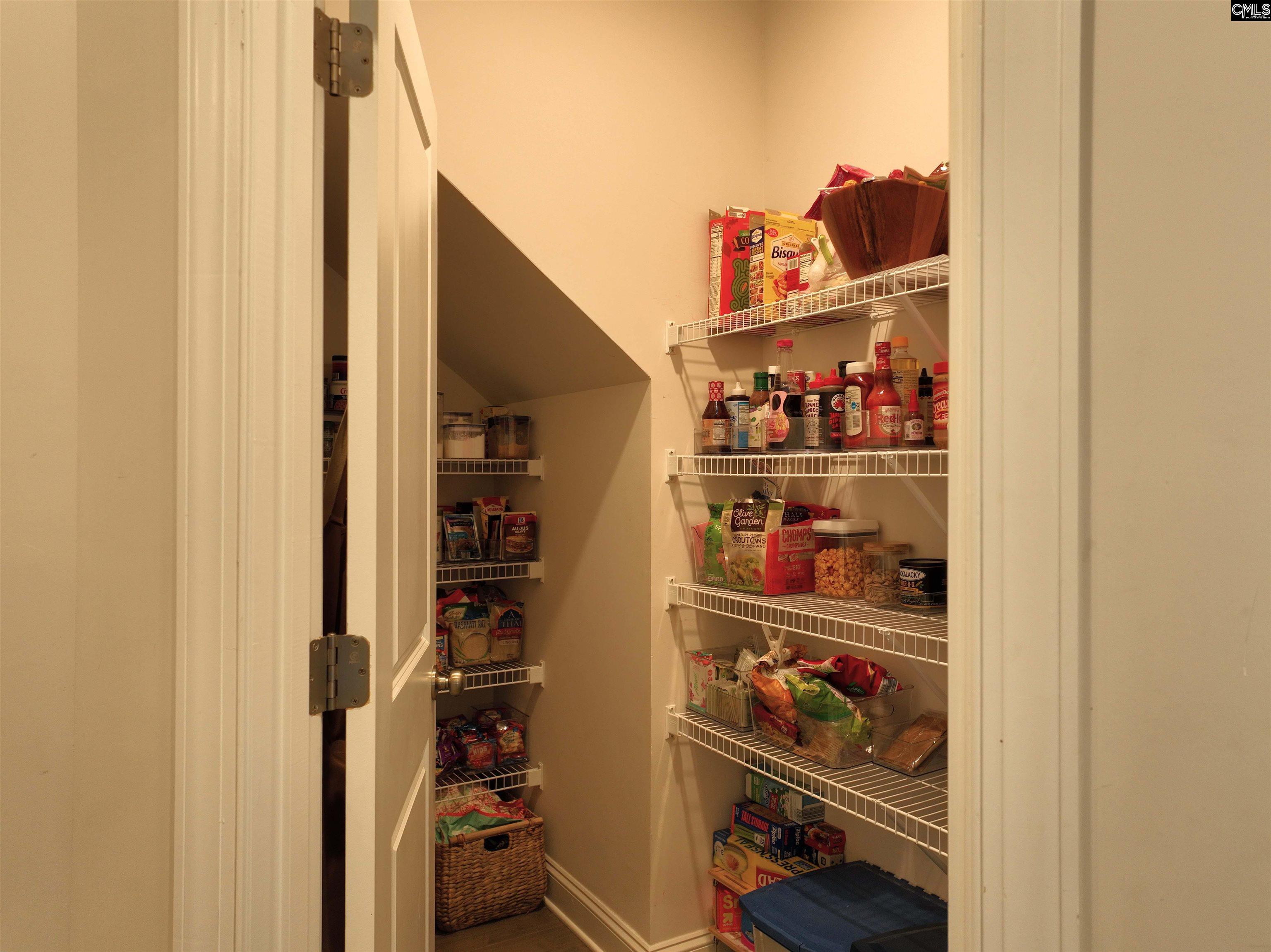 218 Chapin Brooke Court Chapin, SC 29036-9999