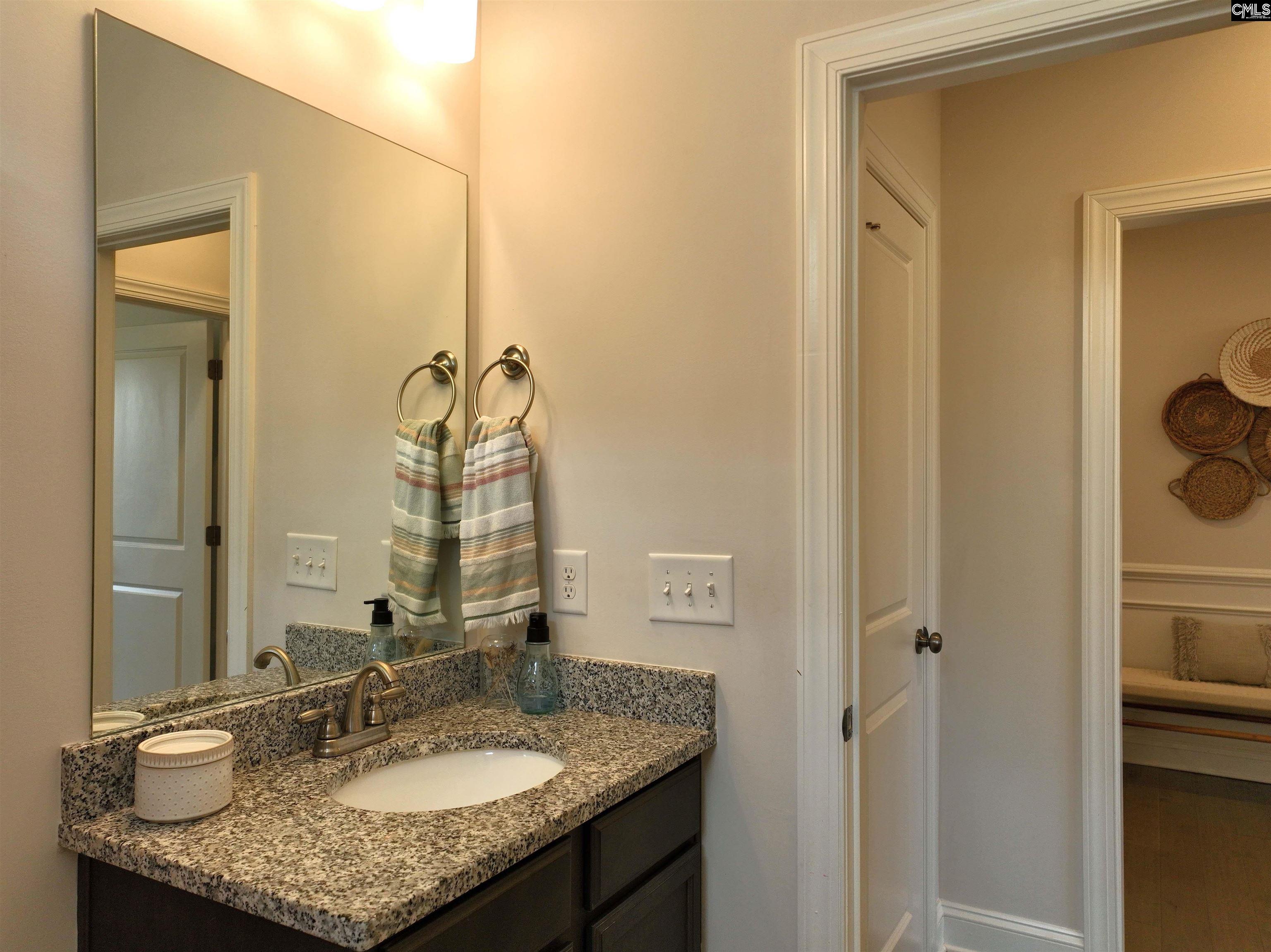 218 Chapin Brooke Court Chapin, SC 29036-9999