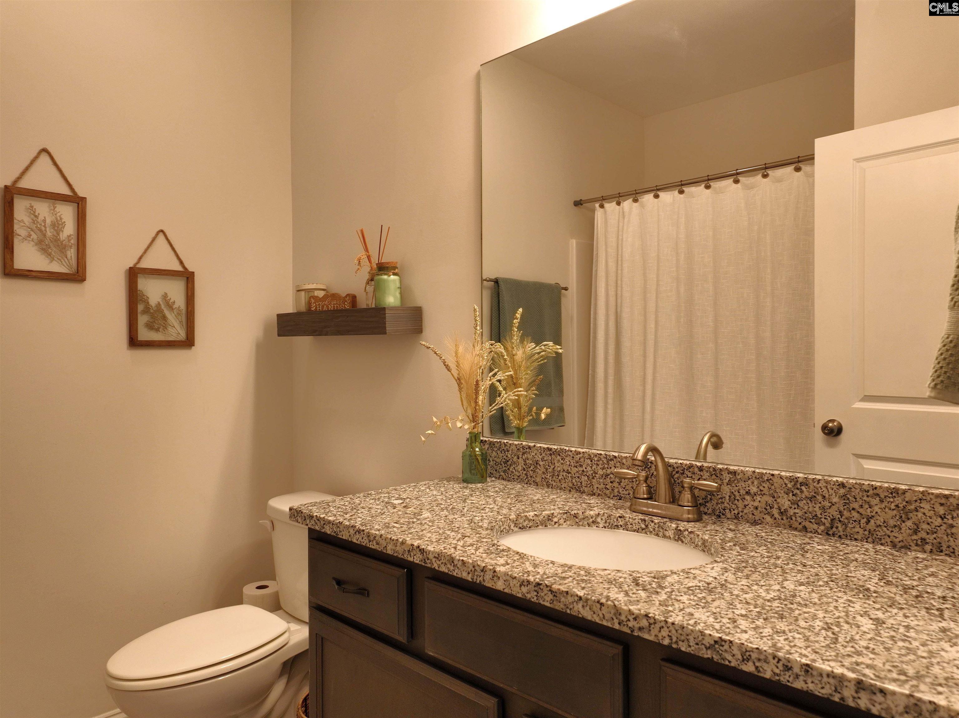 218 Chapin Brooke Court Chapin, SC 29036-9999