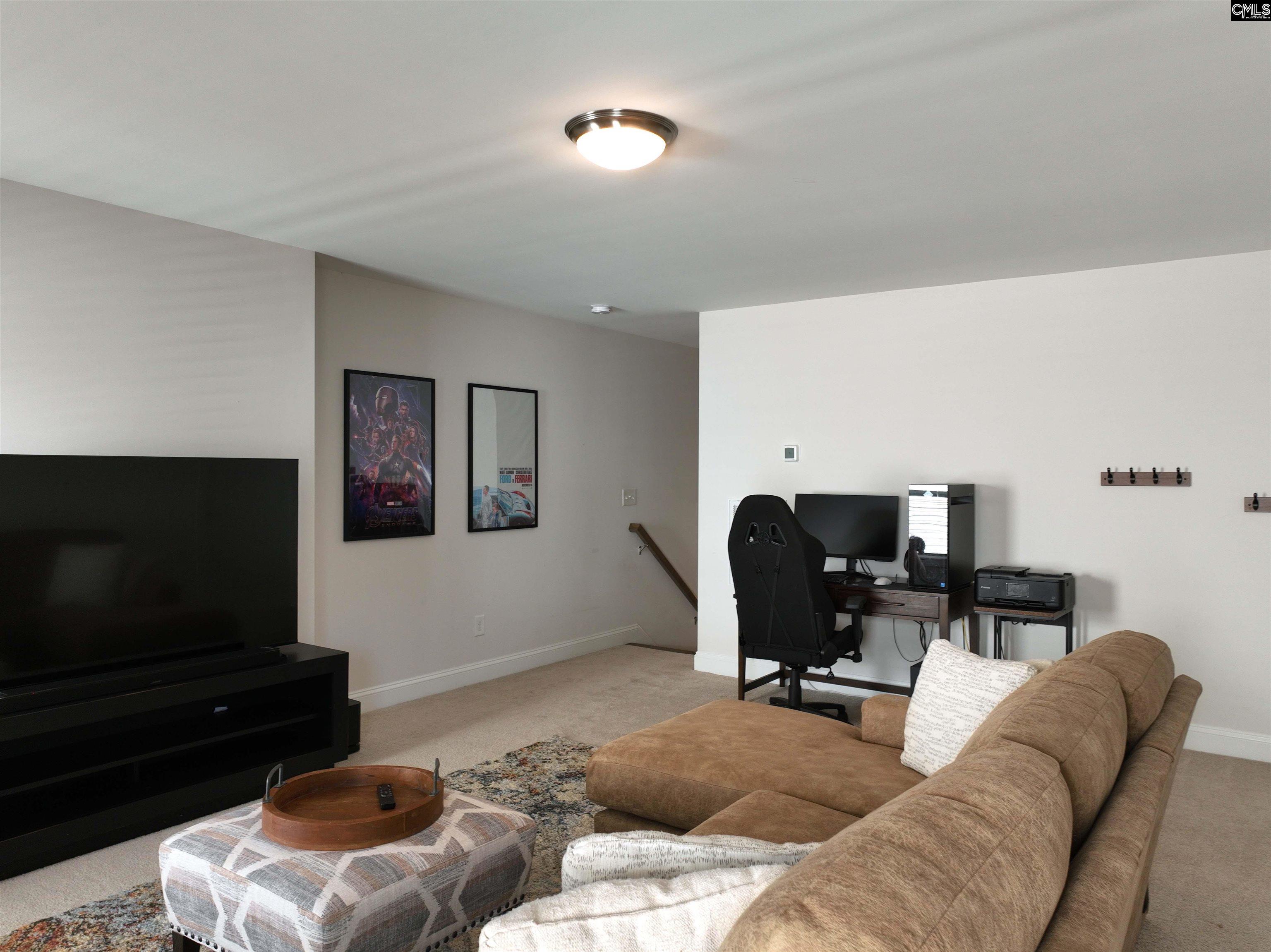 218 Chapin Brooke Court Chapin, SC 29036-9999