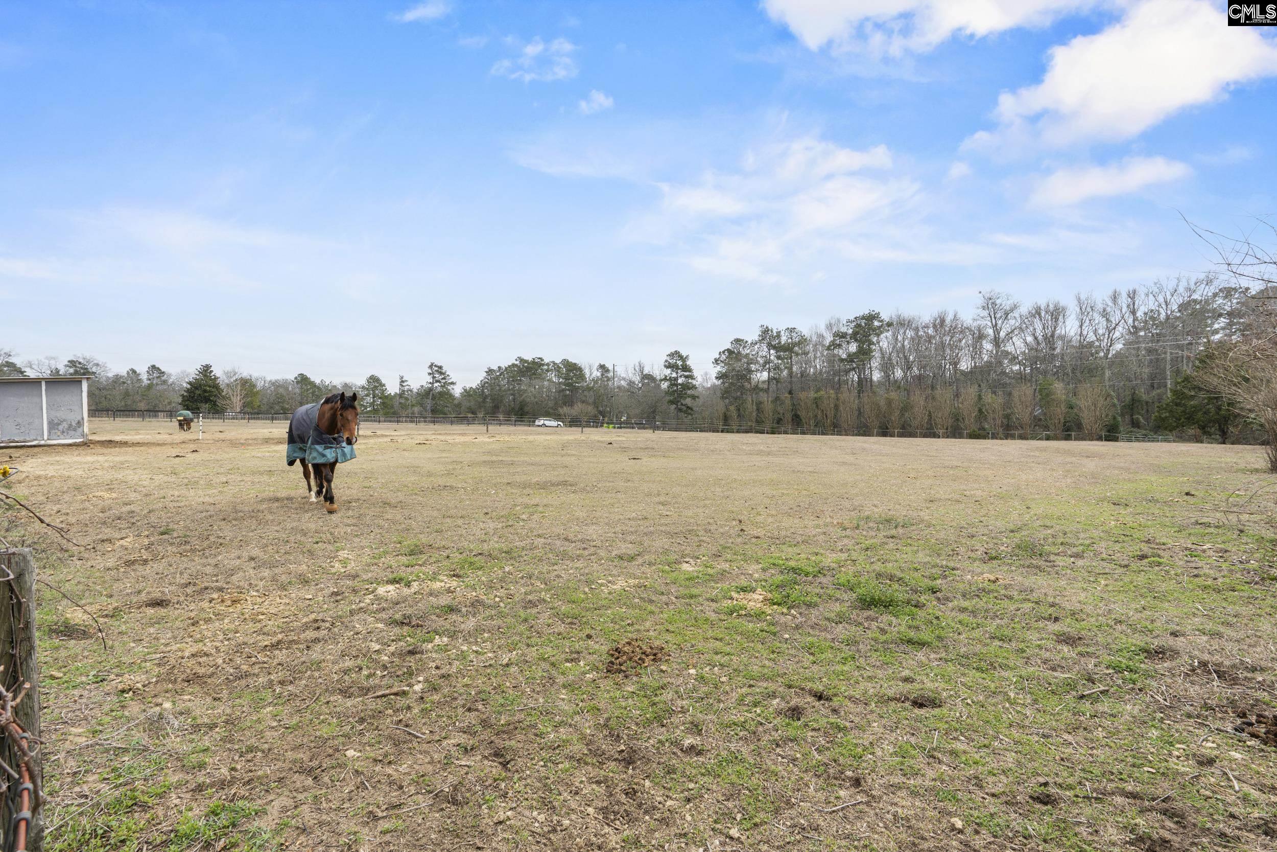 803 Langford Road Blythewood, SC 29016