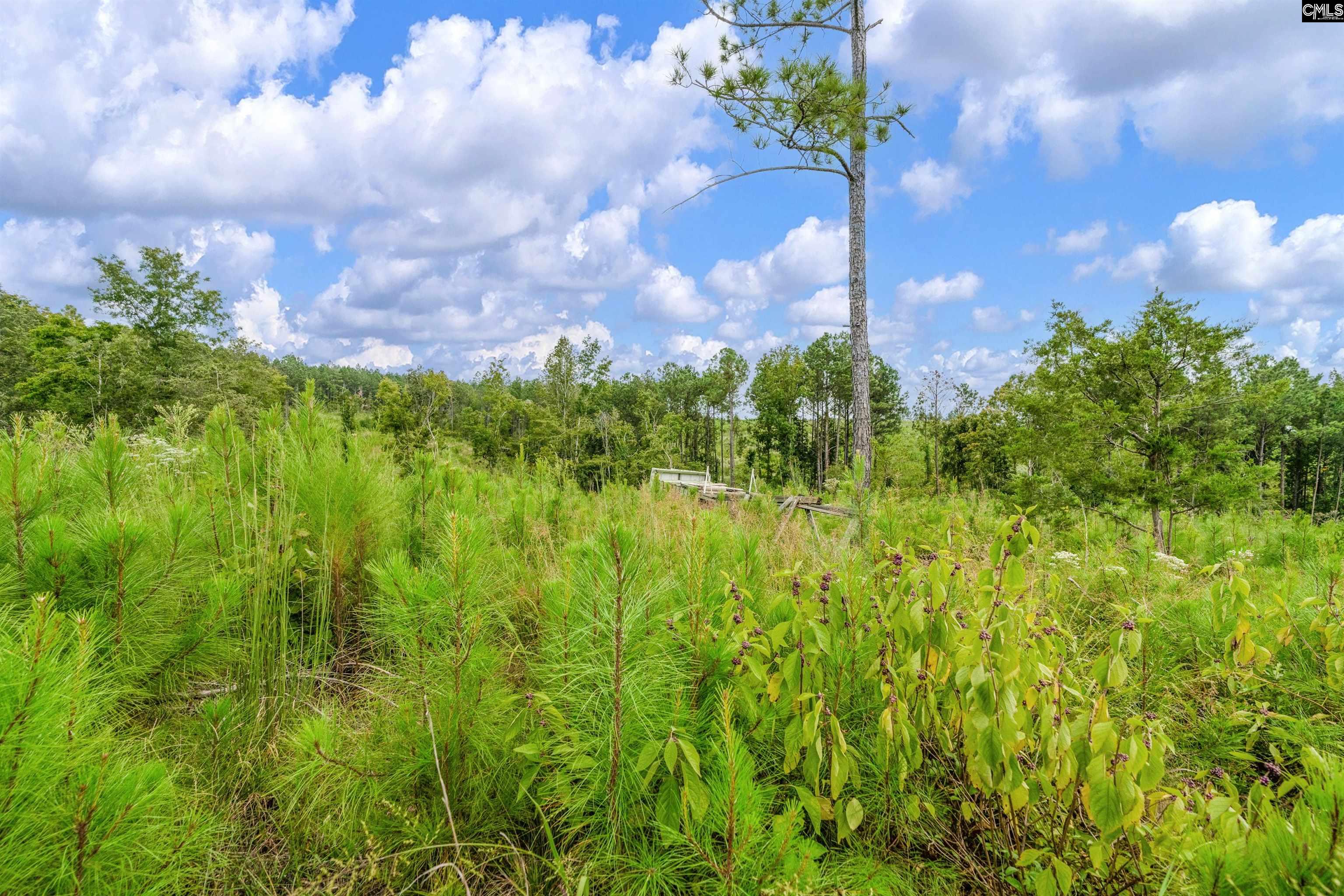 0000 Penner Road UNIT #7 Jenkinsville, SC 29065