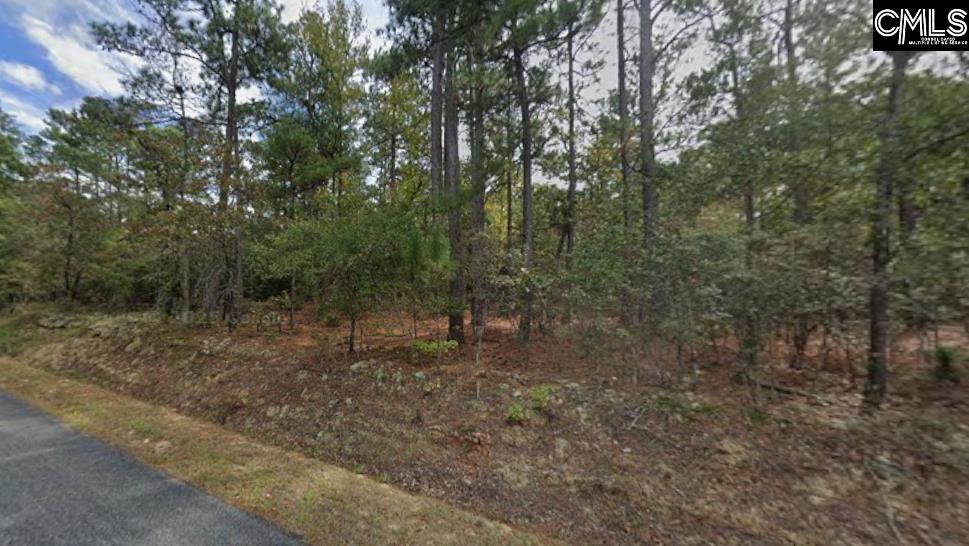 116 Fawn Drive Hopkins, SC 29061