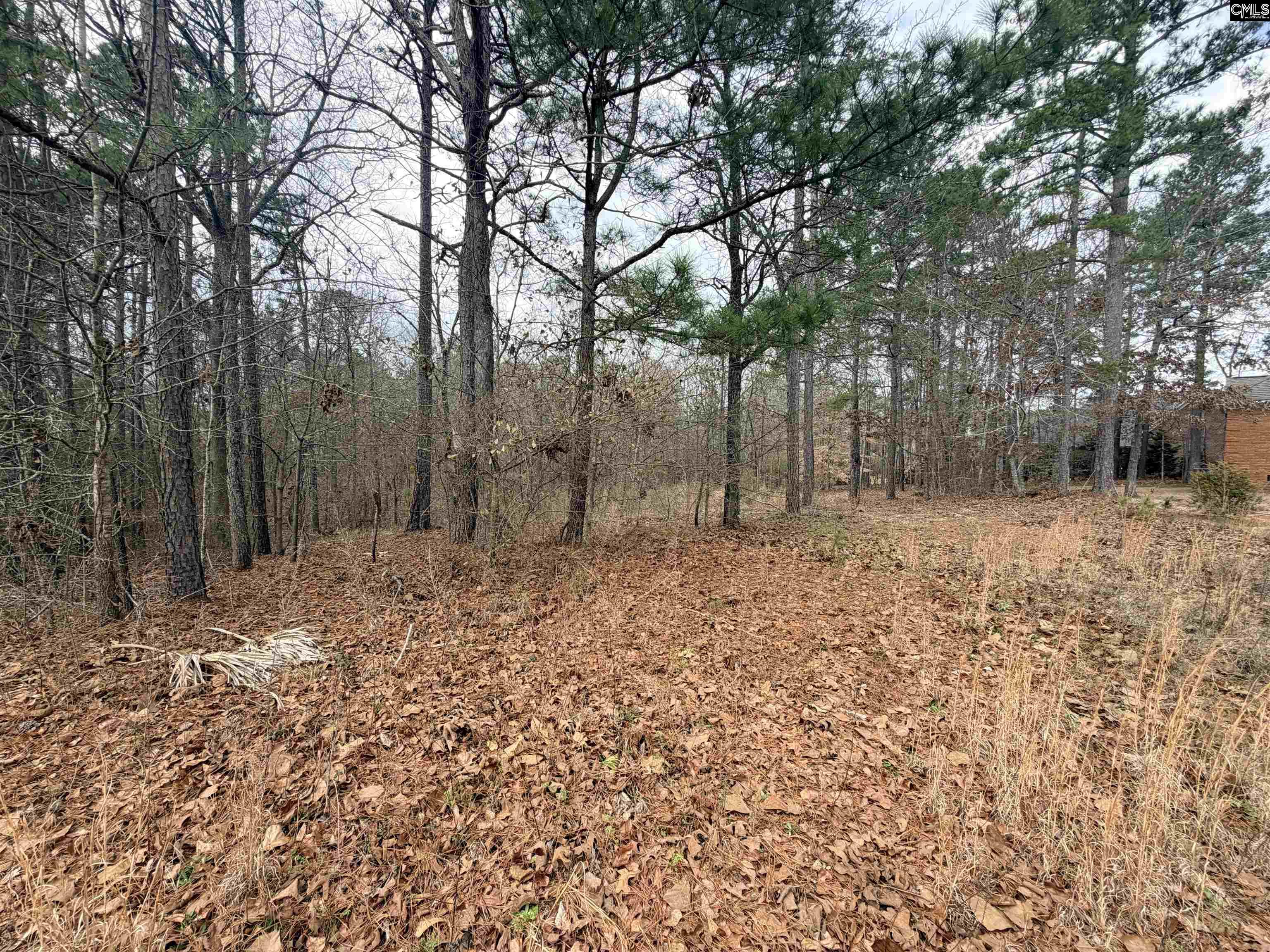 92 Cannonade Court Irmo, SC 29063