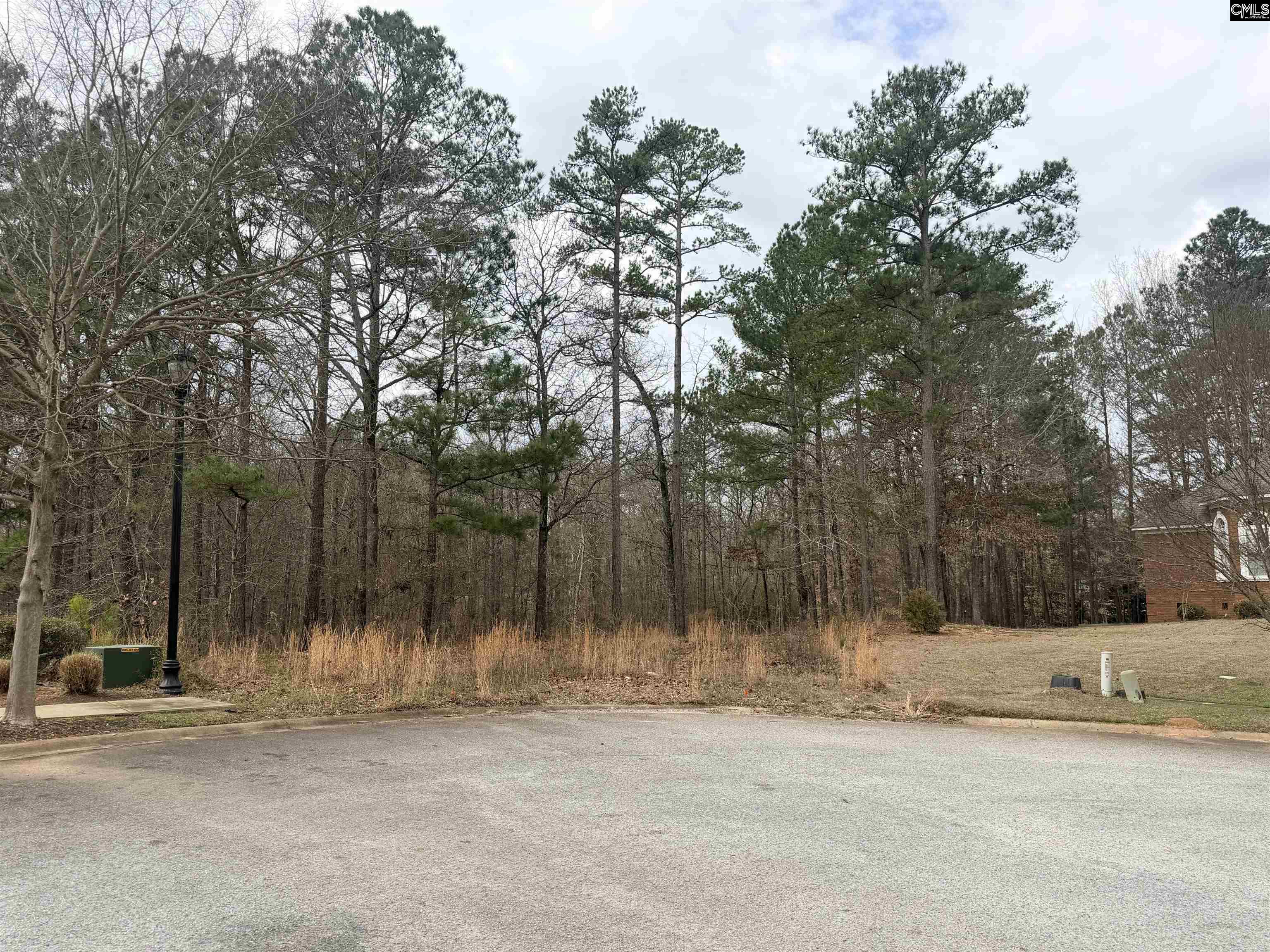 92 Cannonade Court Irmo, SC 29063