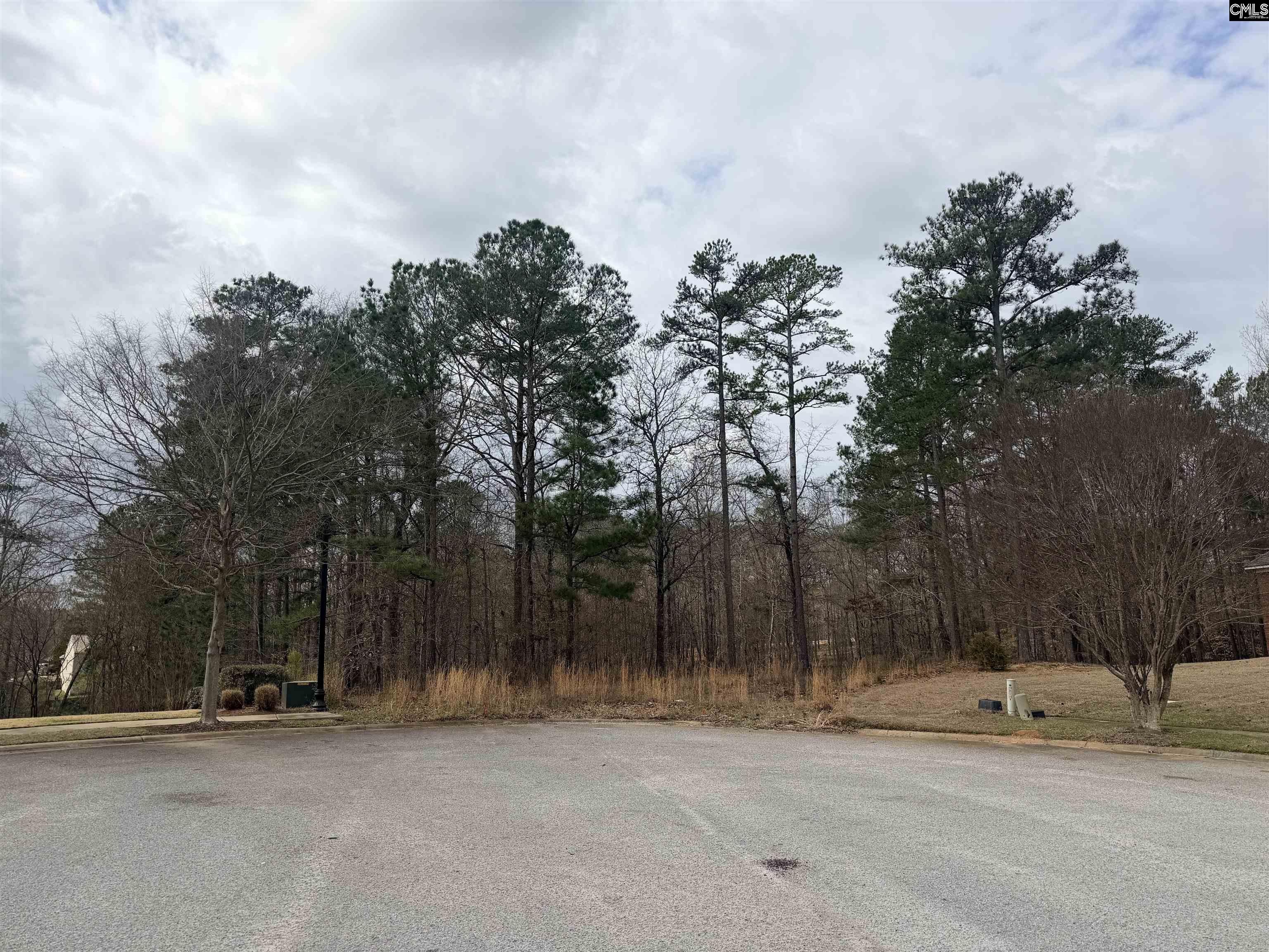 92 Cannonade Court Irmo, SC 29063