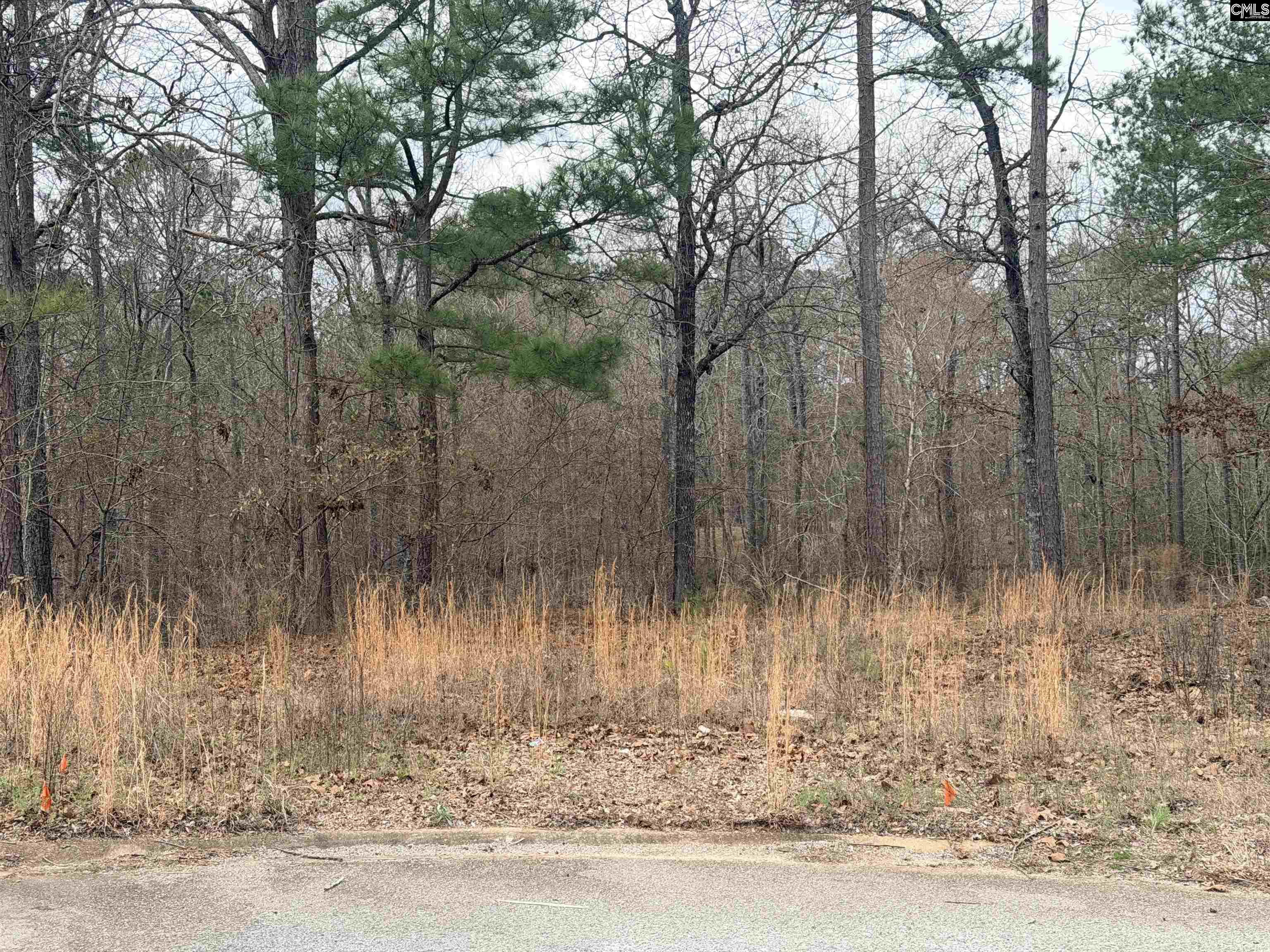 92 Cannonade Court Irmo, SC 29063