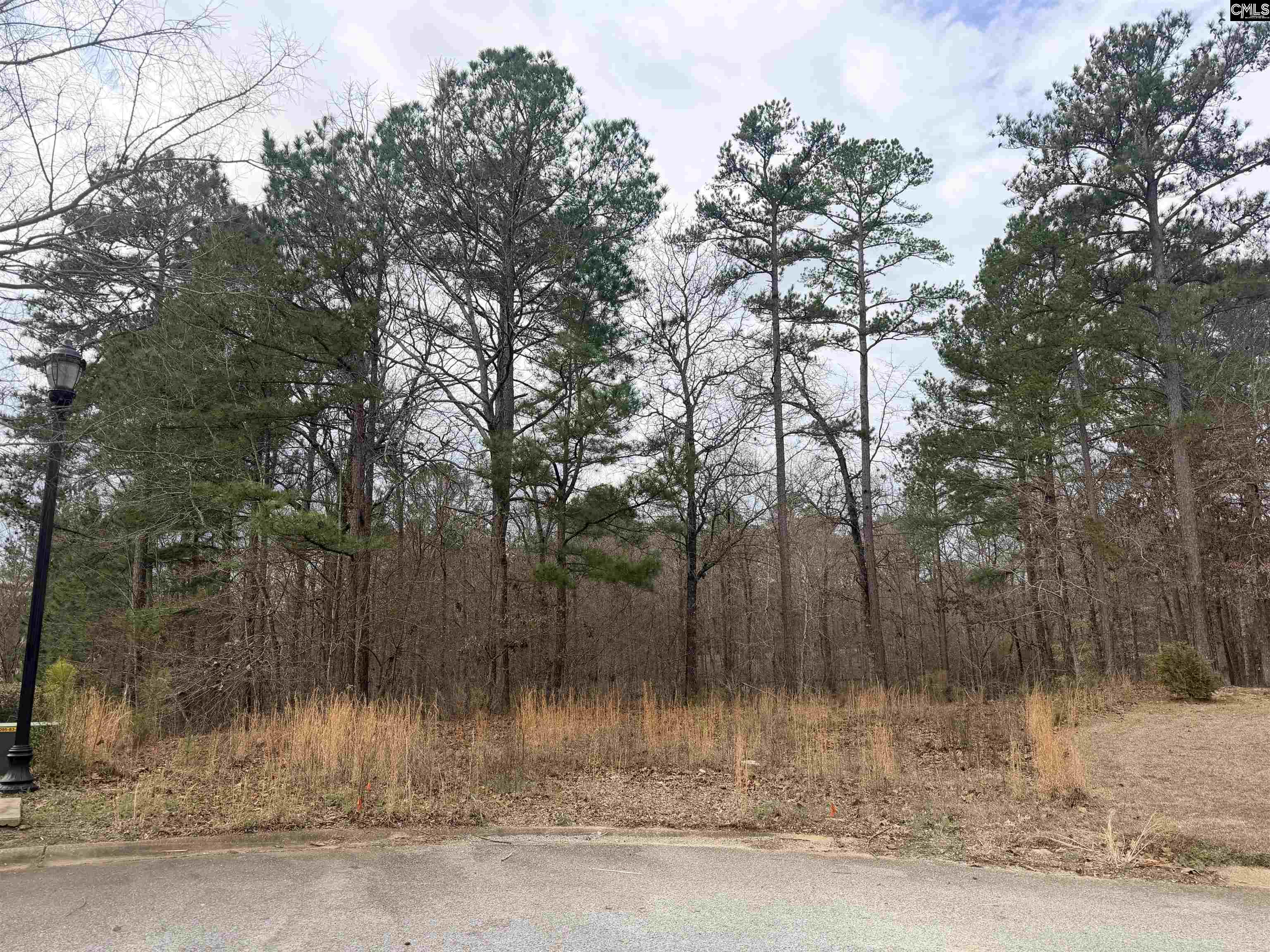 92 Cannonade Court Irmo, SC 29063