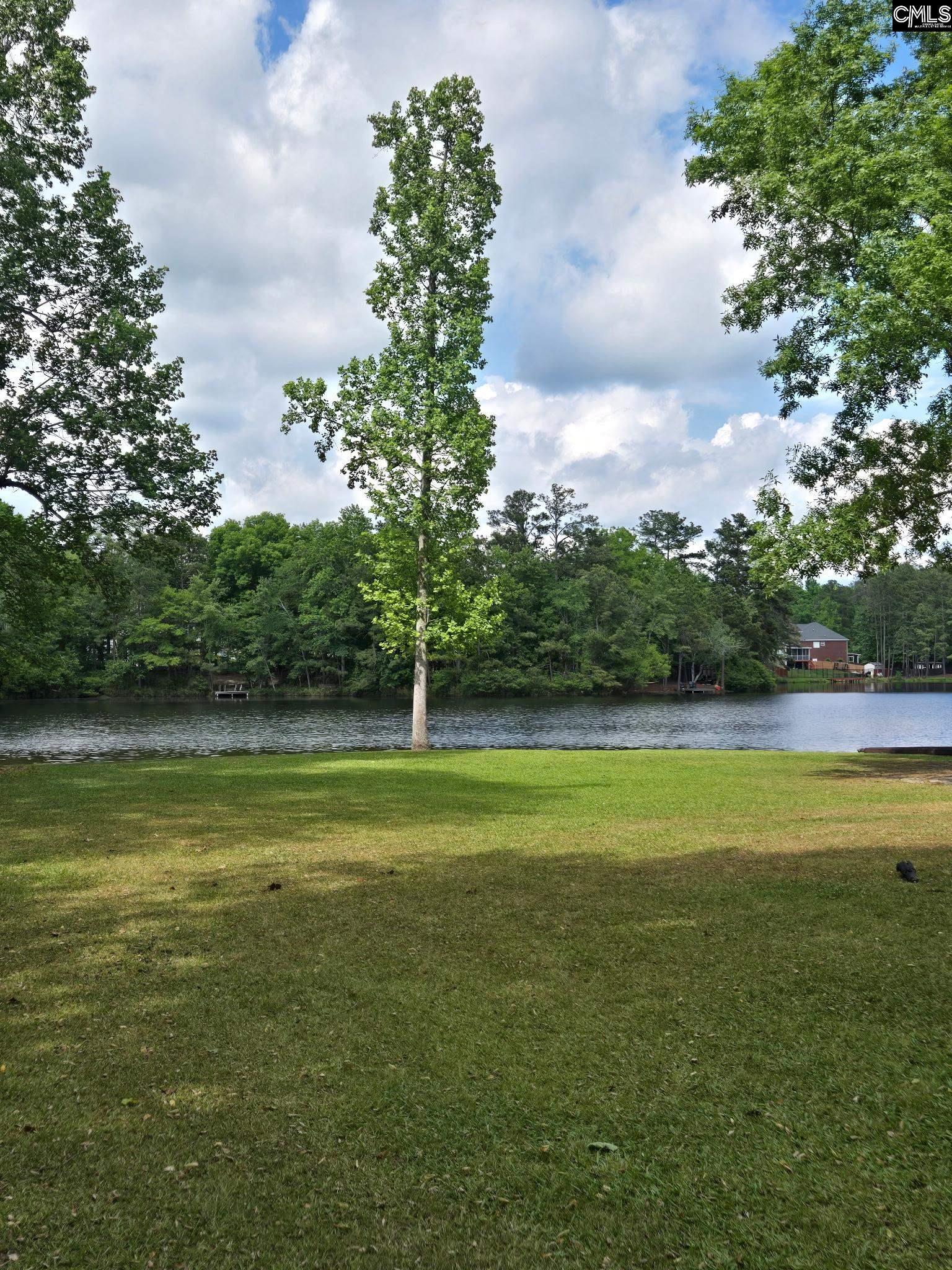 10 Canvasback Court Blythewood, SC 29016