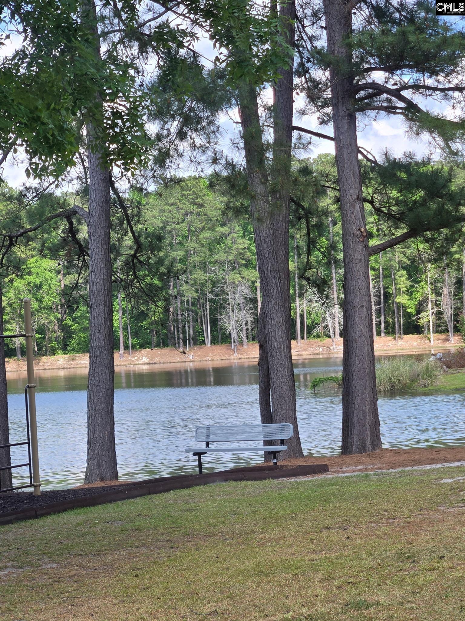 10 Canvasback Court Blythewood, SC 29016