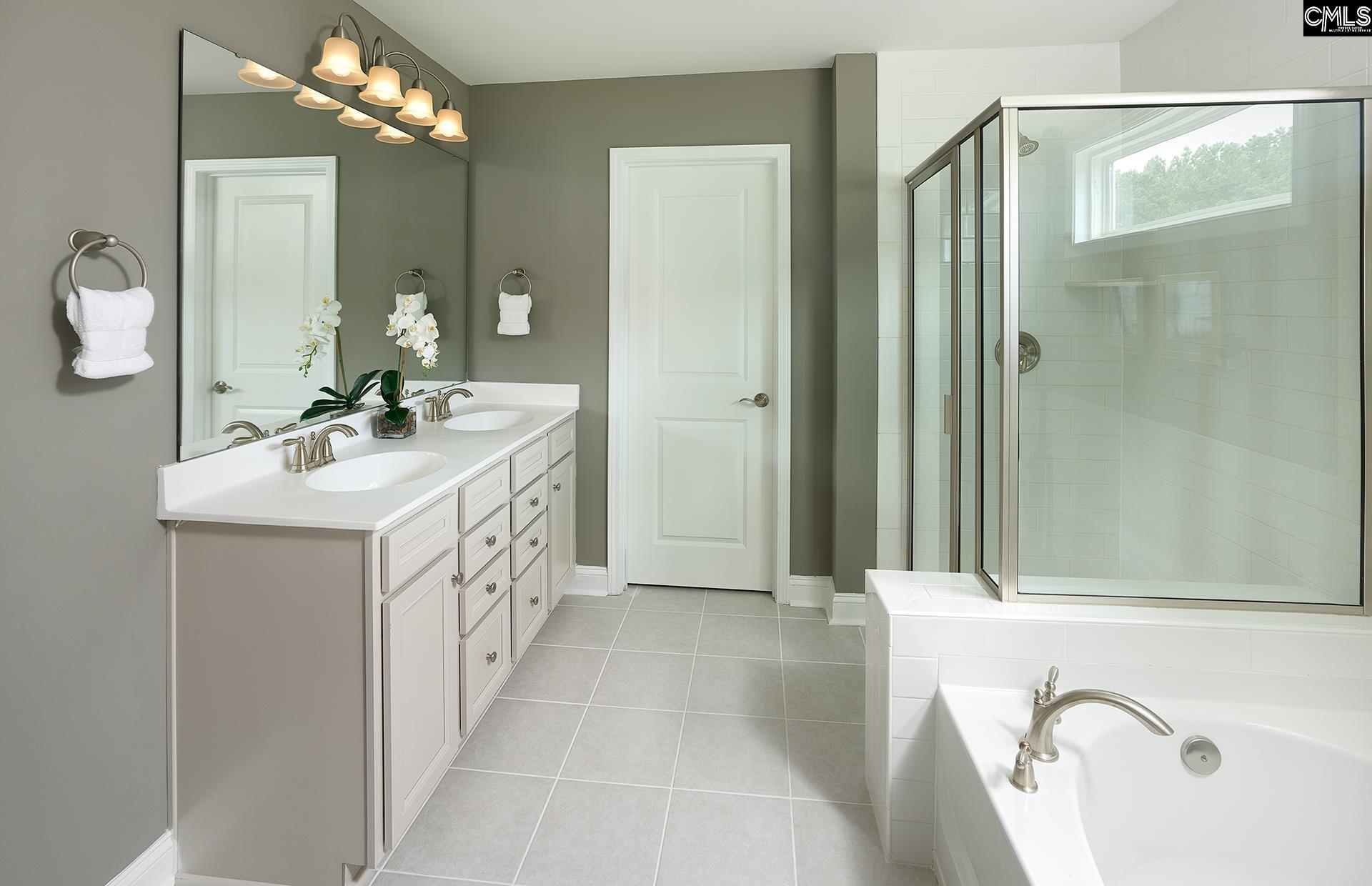 6 Borland Court Chapin, SC 29036