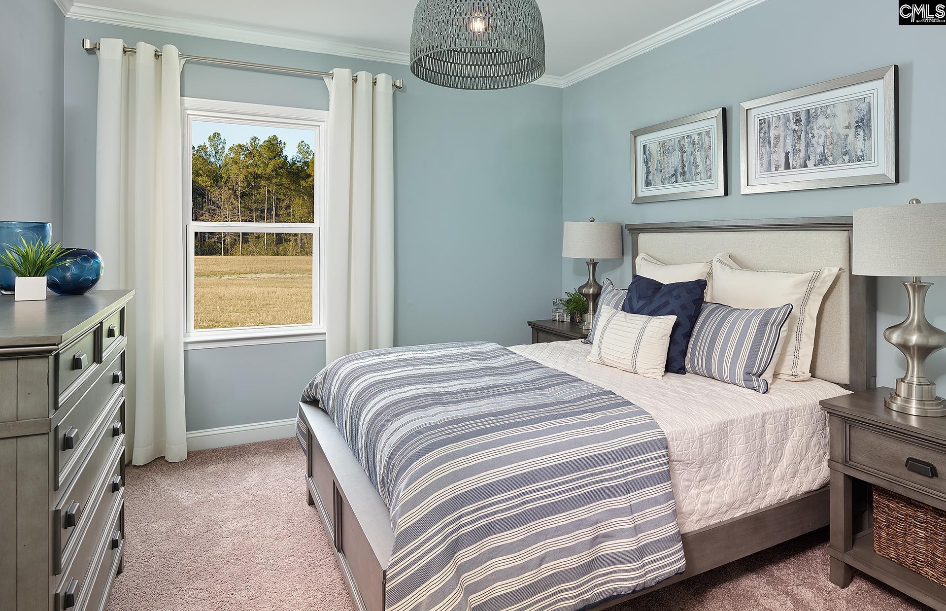 6 Borland Court Chapin, SC 29036
